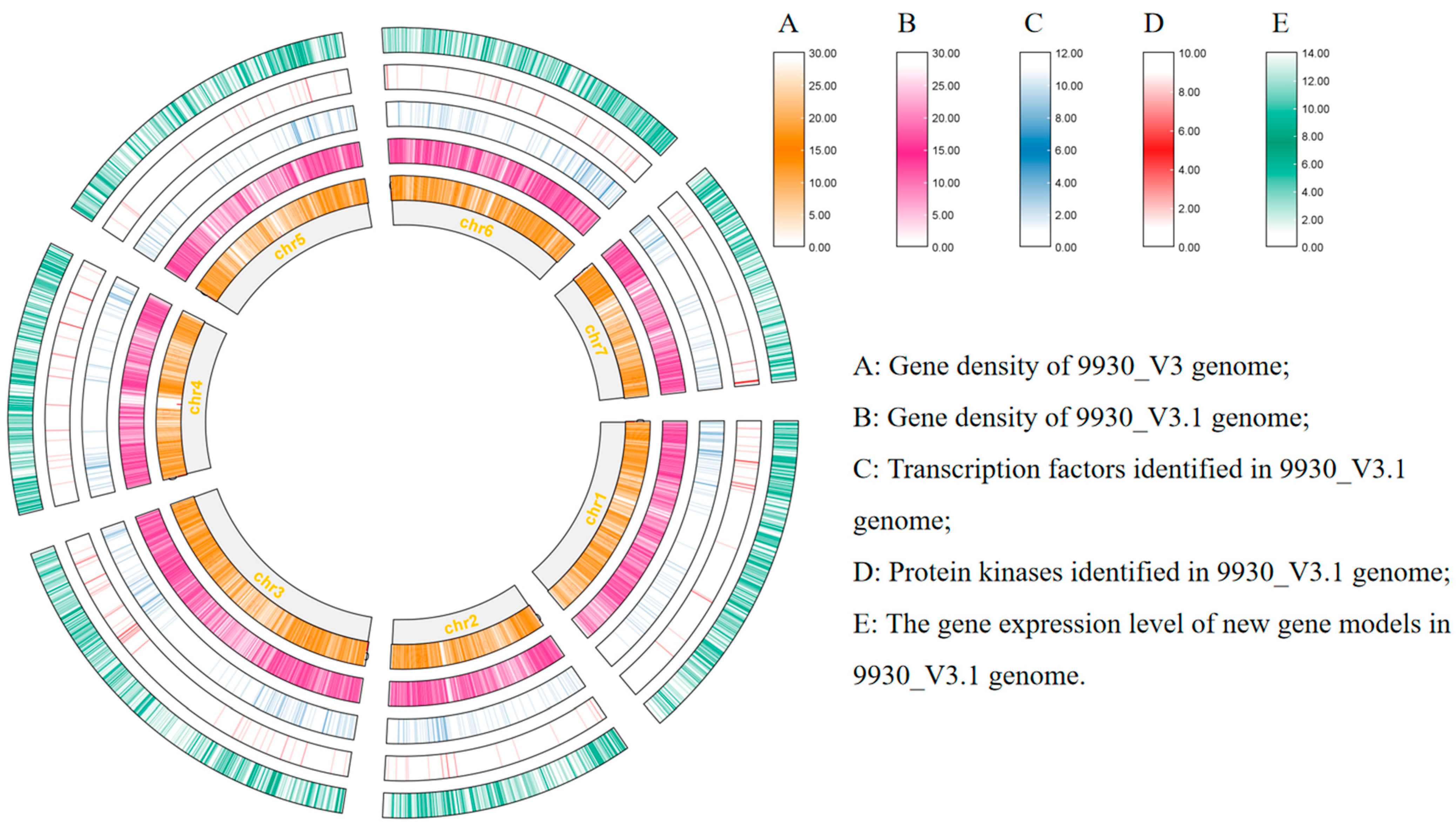 Plants 13 01604 g001