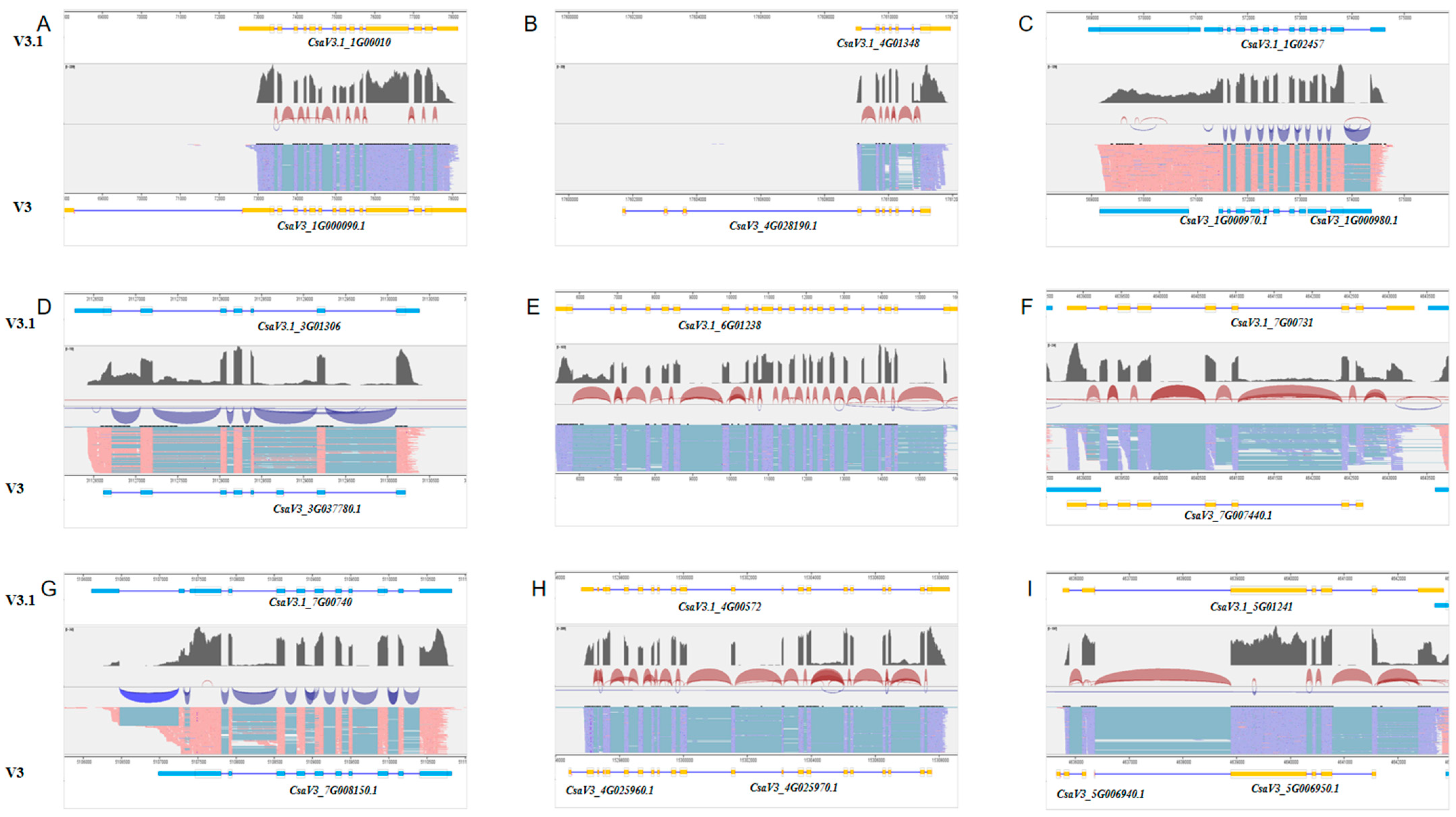 Plants 13 01604 g003