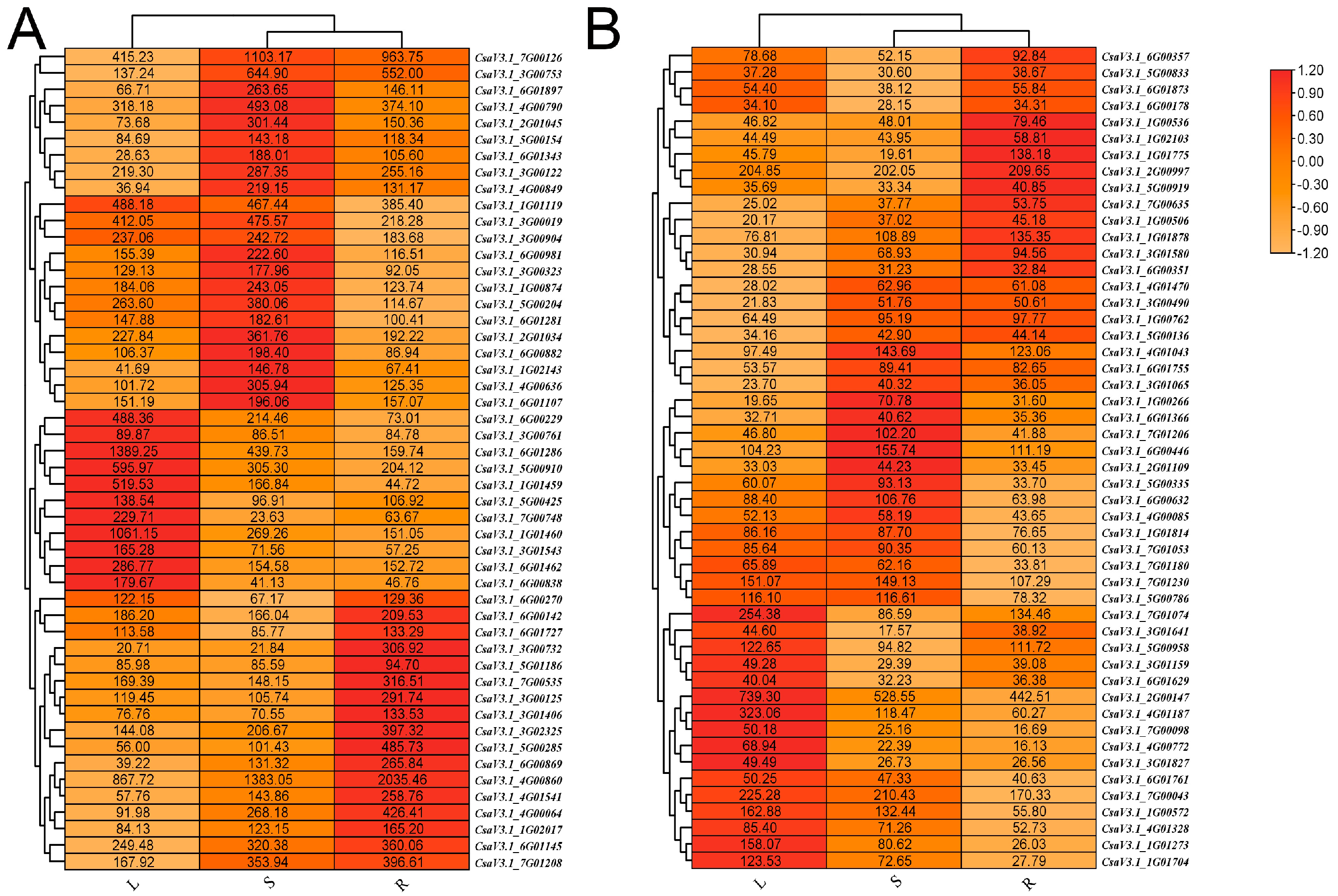 Plants 13 01604 g006