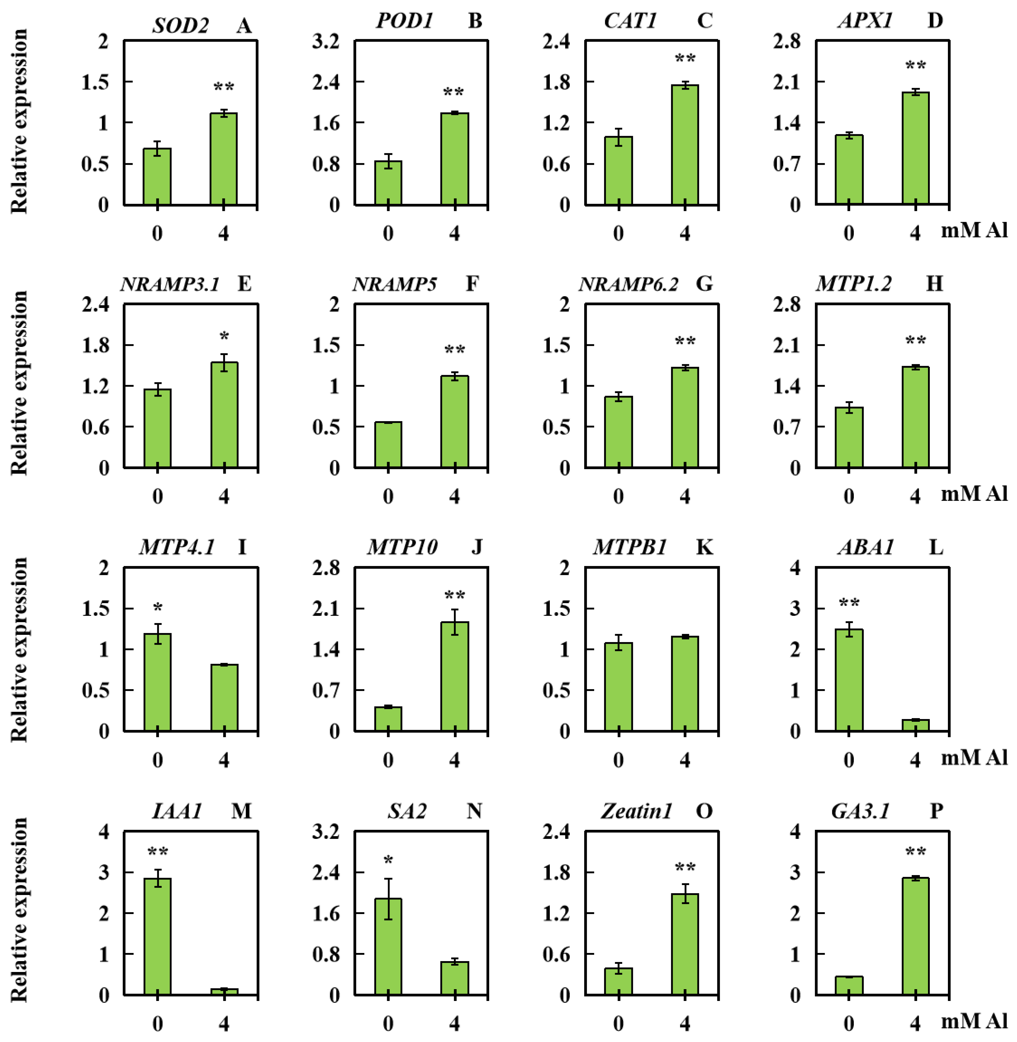 Plants 13 01606 g007