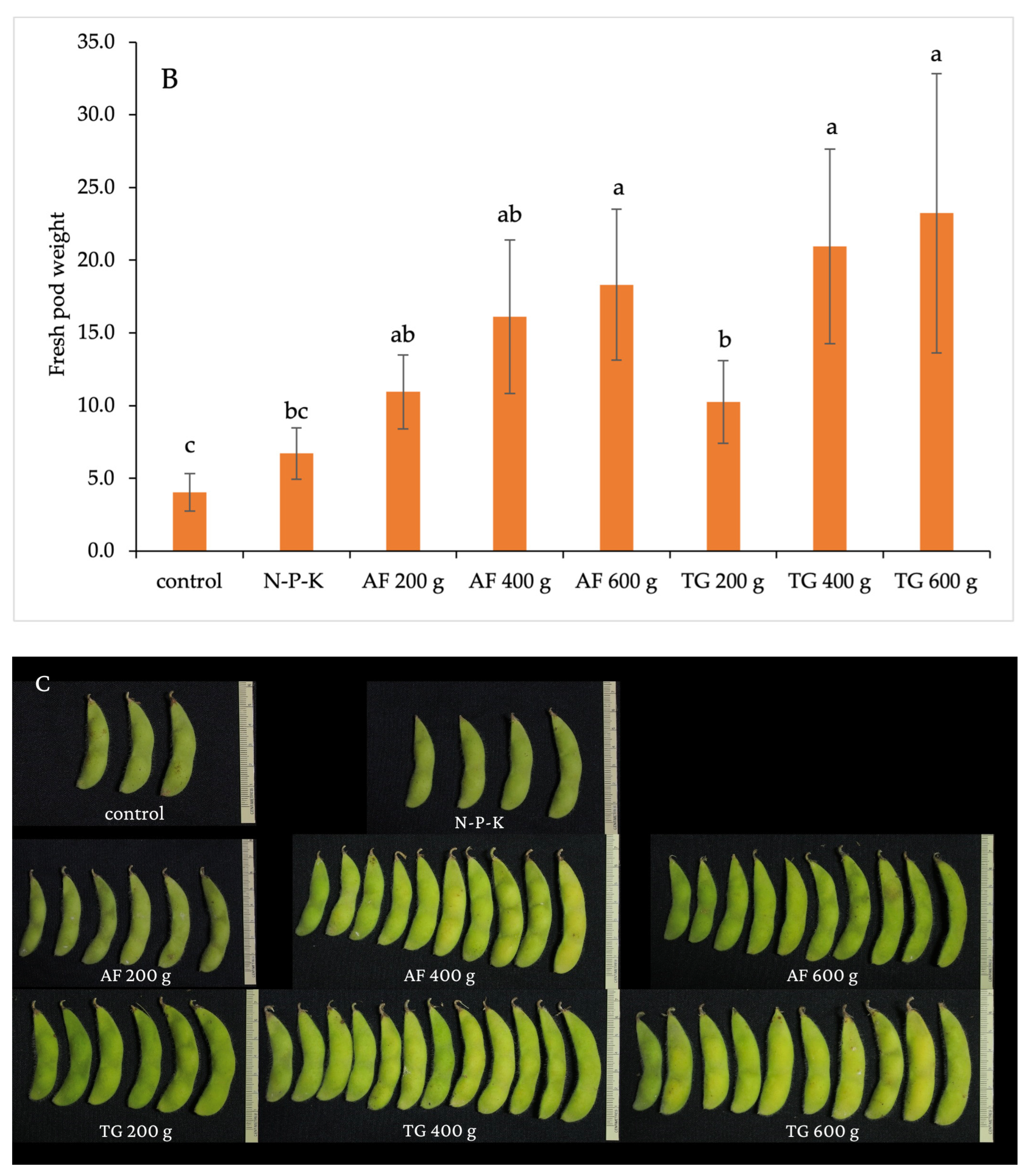 Plants 13 01607 g005b