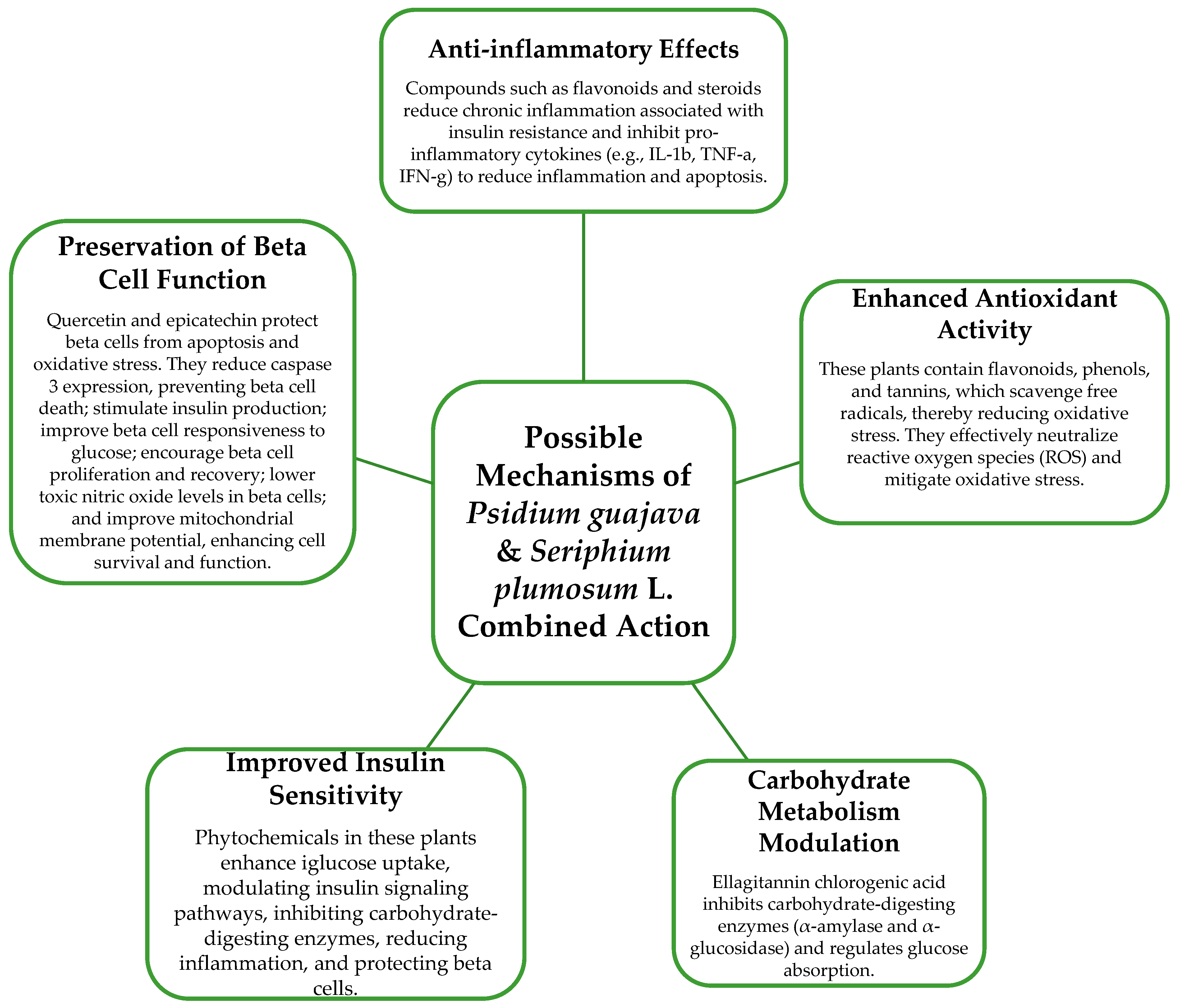 Plants 13 01608 g003