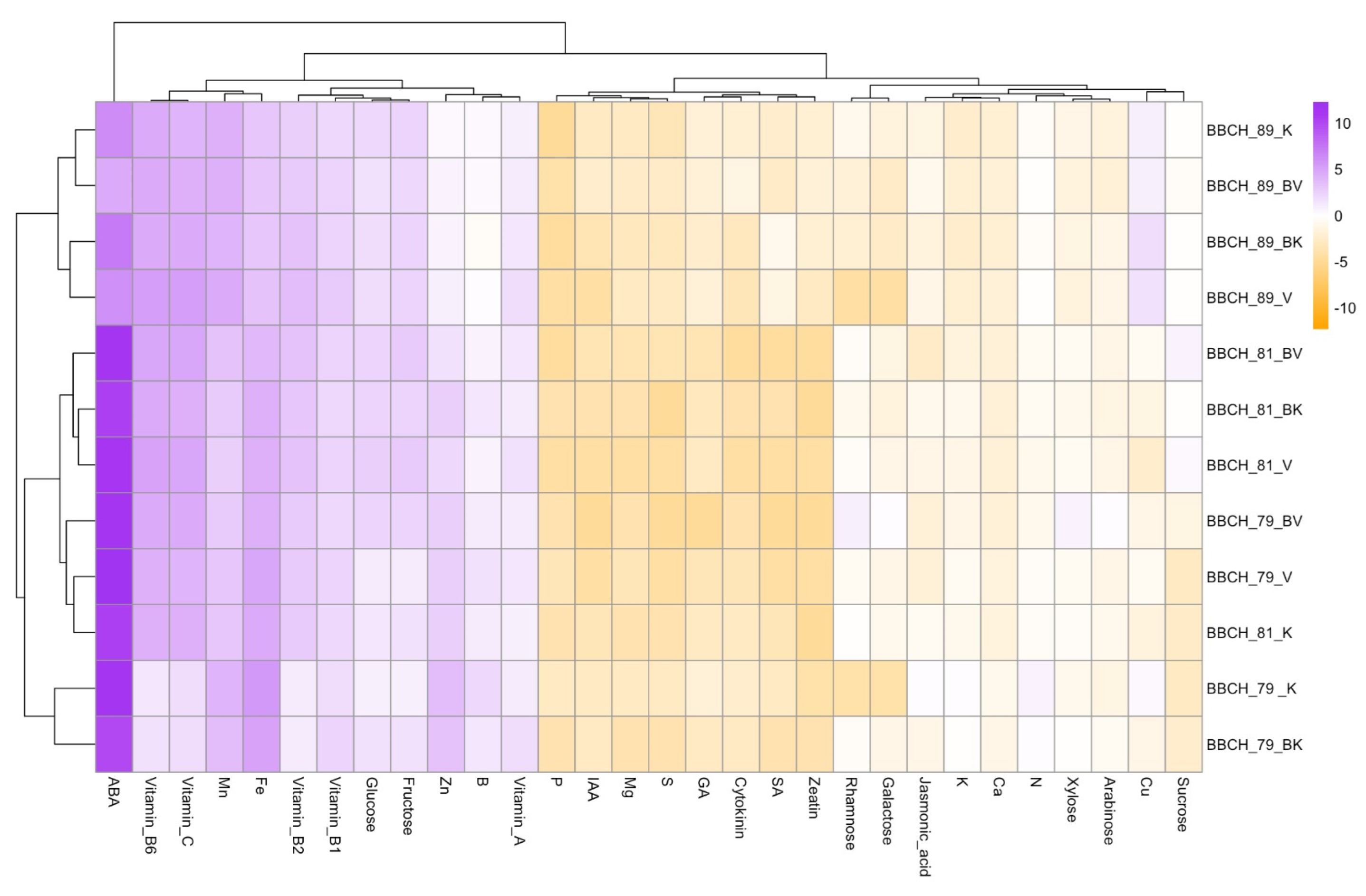 Plants 13 01612 g002