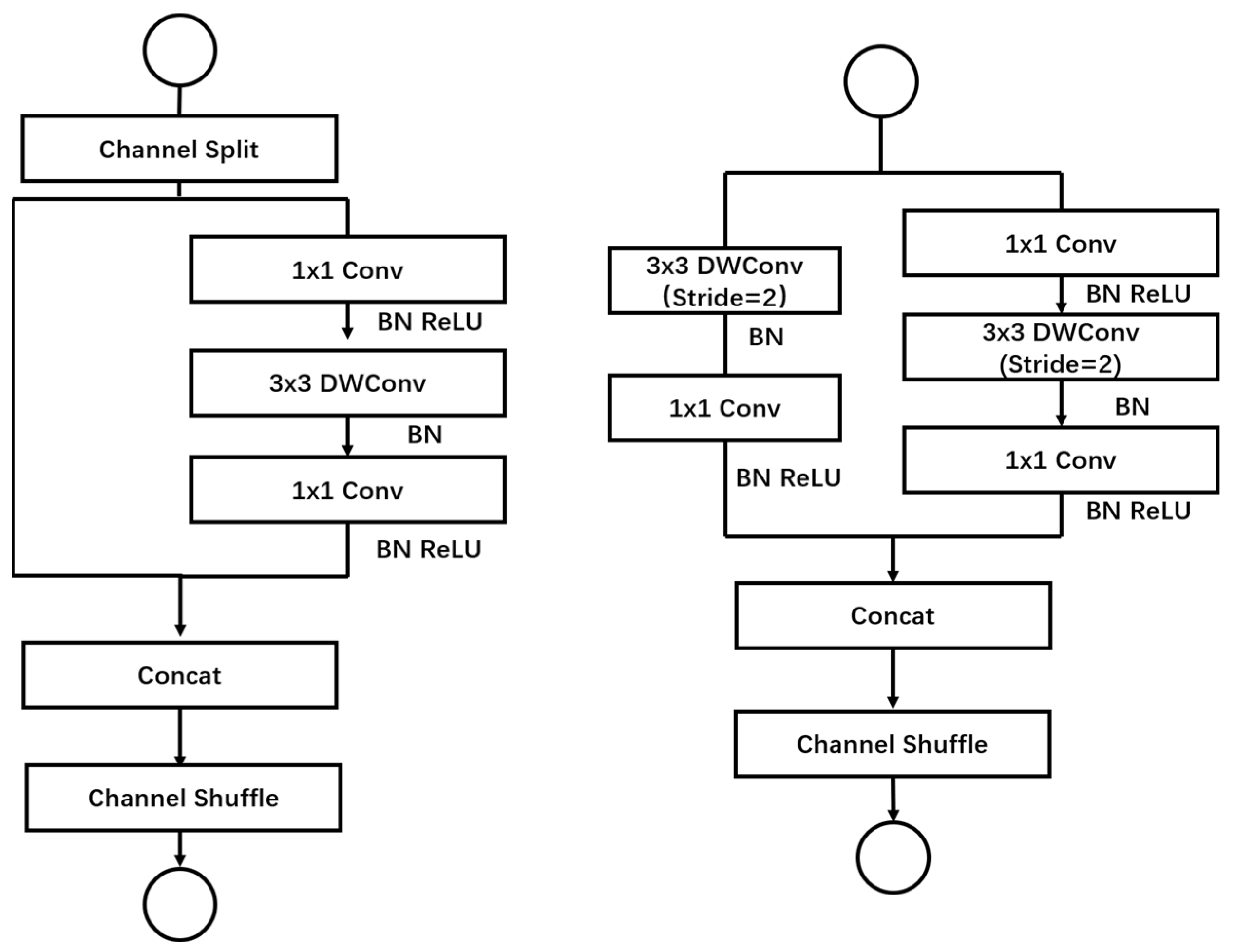 Plants 13 01621 g003