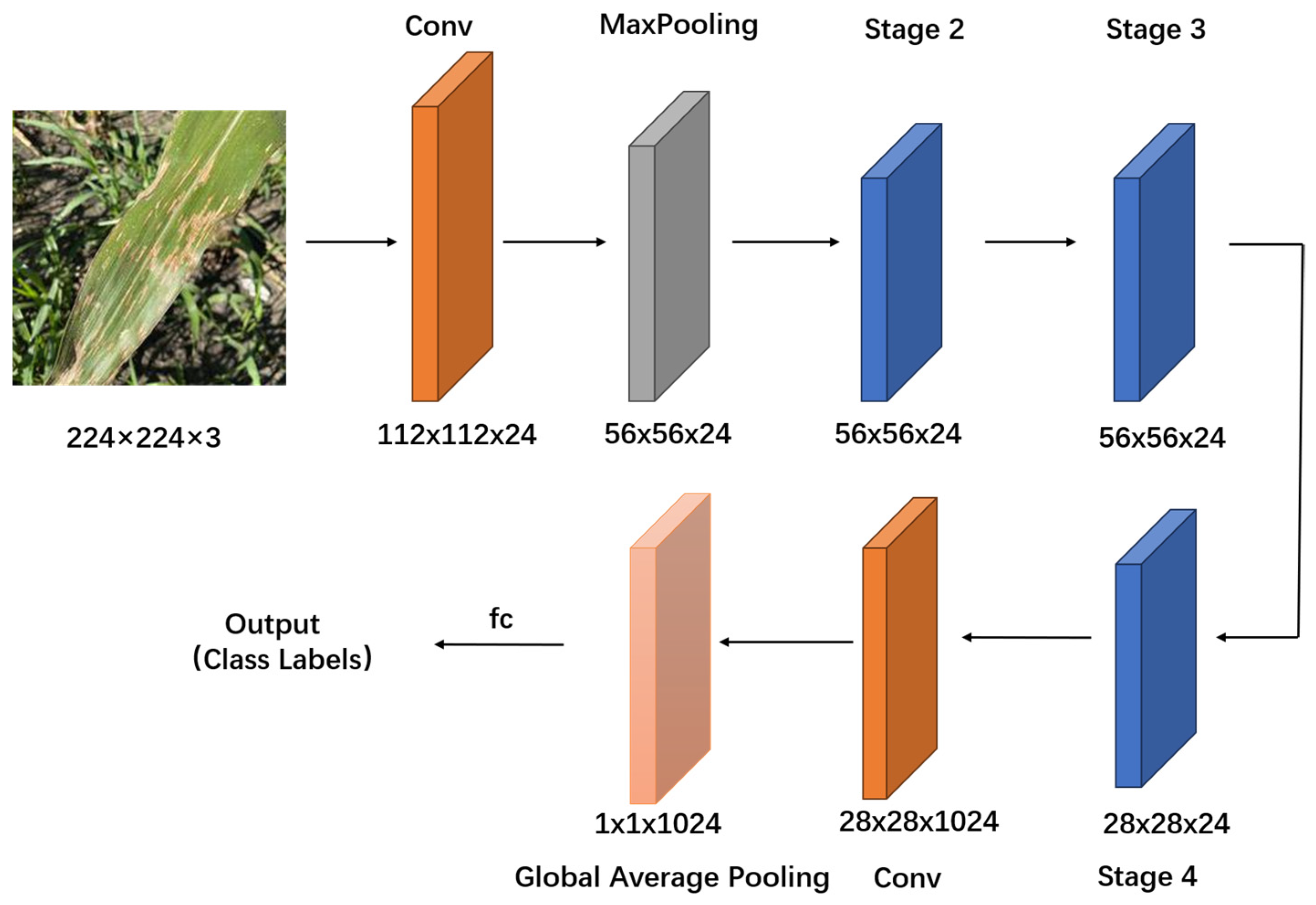 Plants 13 01621 g006