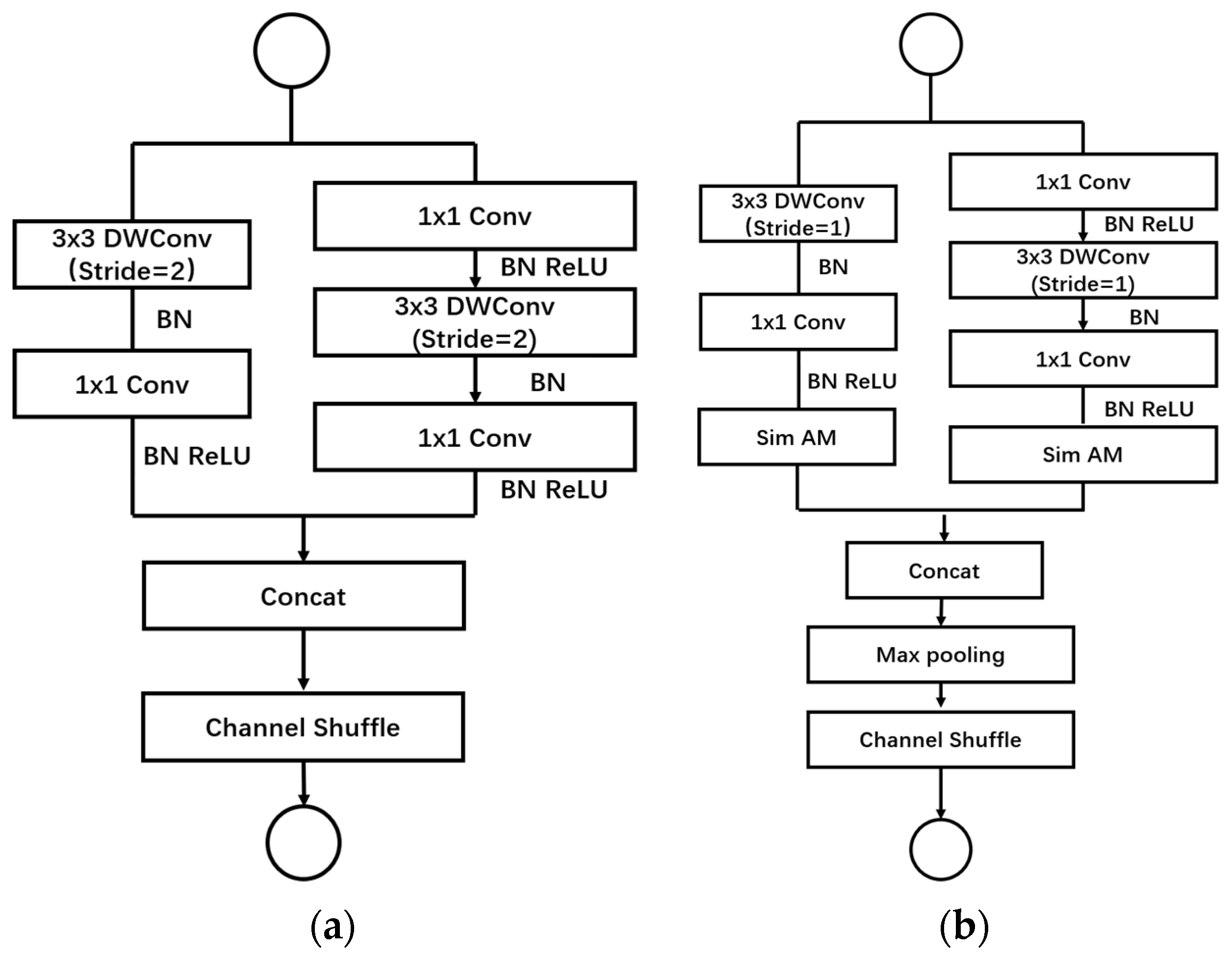 Plants 13 01621 g007