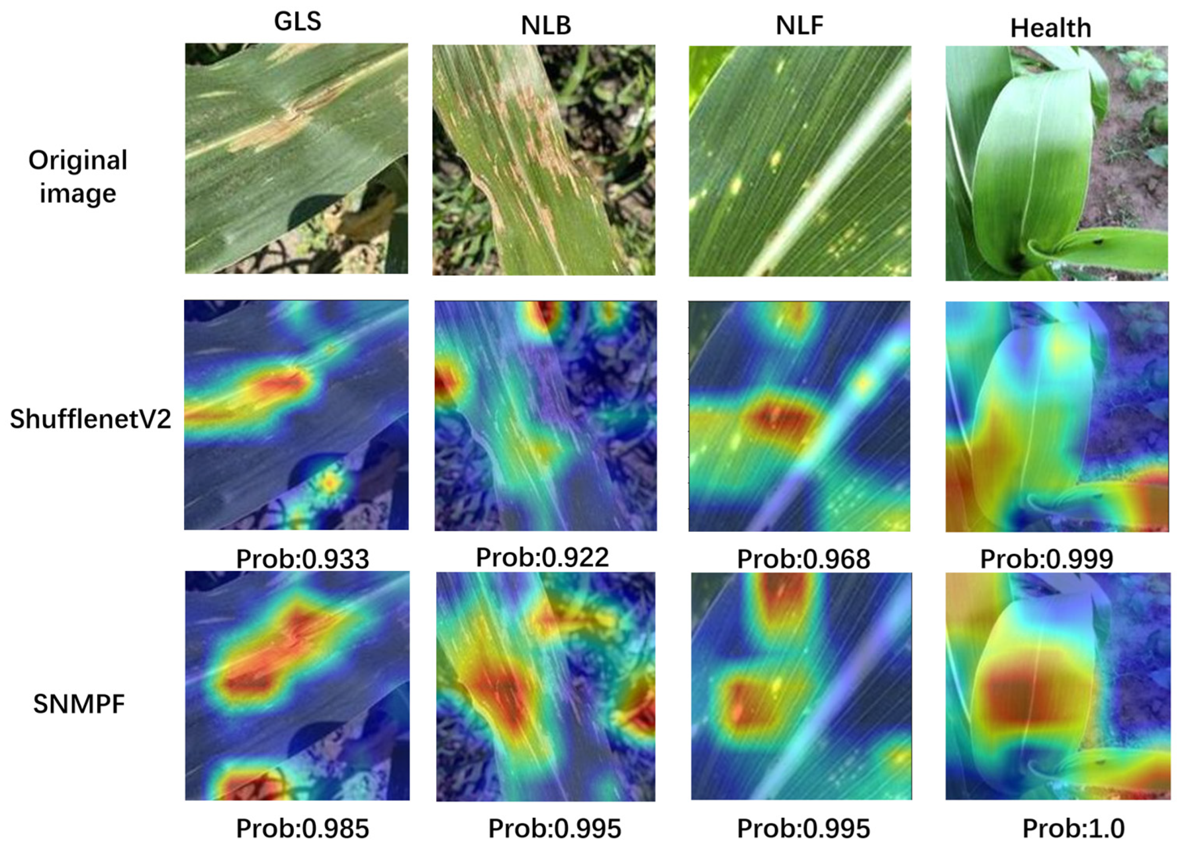 Plants 13 01621 g014