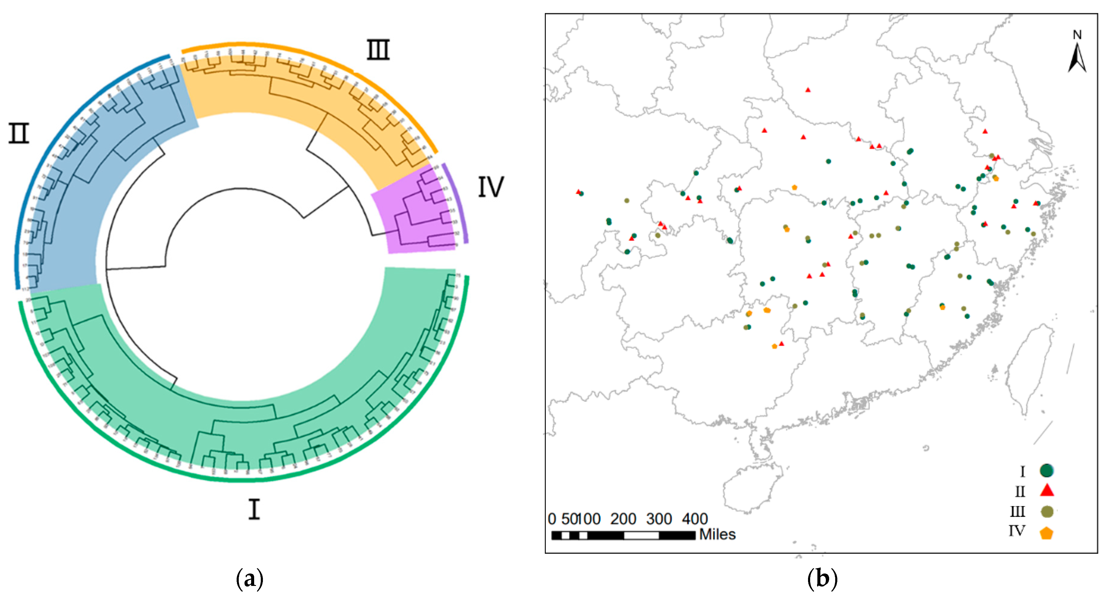 Plants 13 01625 g002