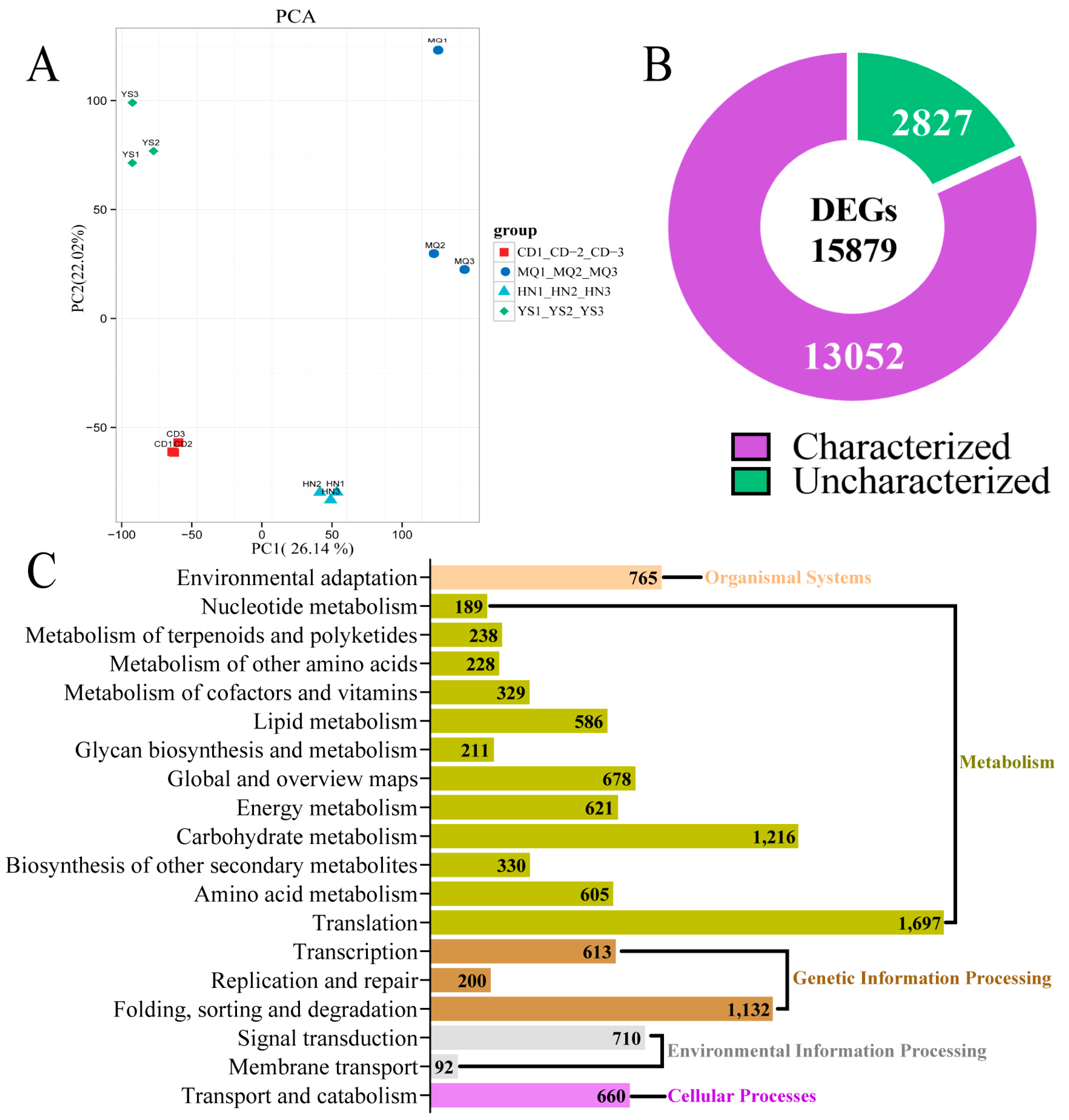 Plants 13 01627 g003