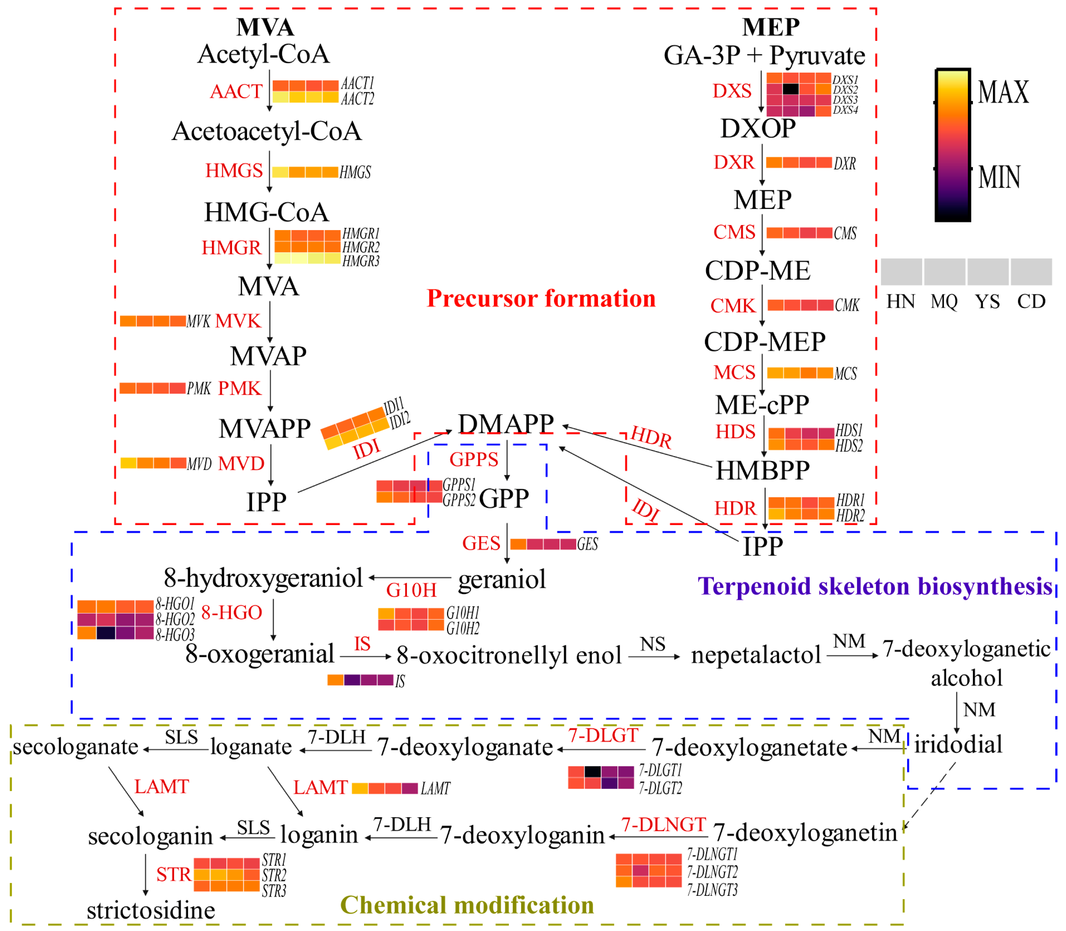 Plants 13 01627 g005
