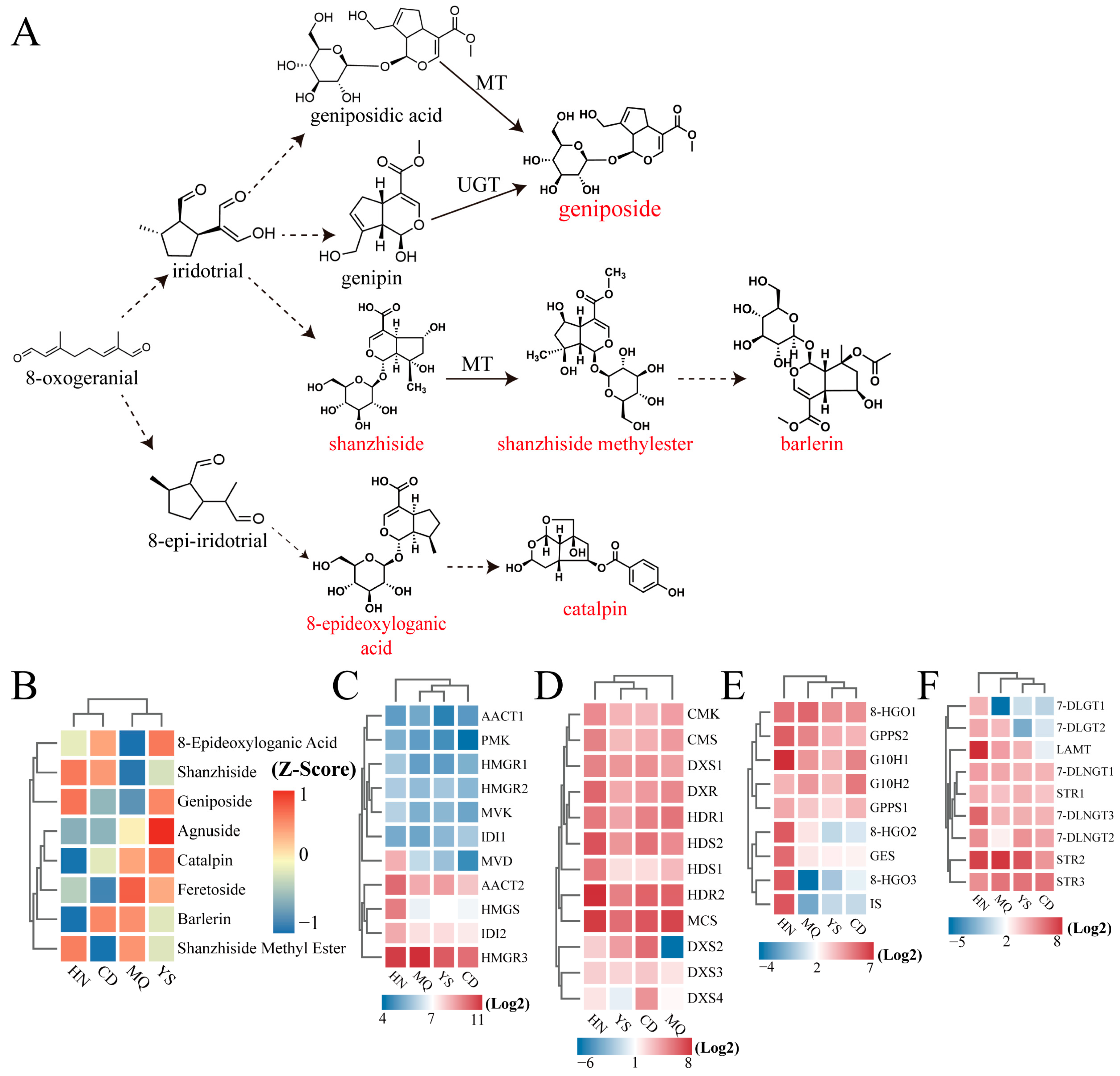 Plants 13 01627 g006
