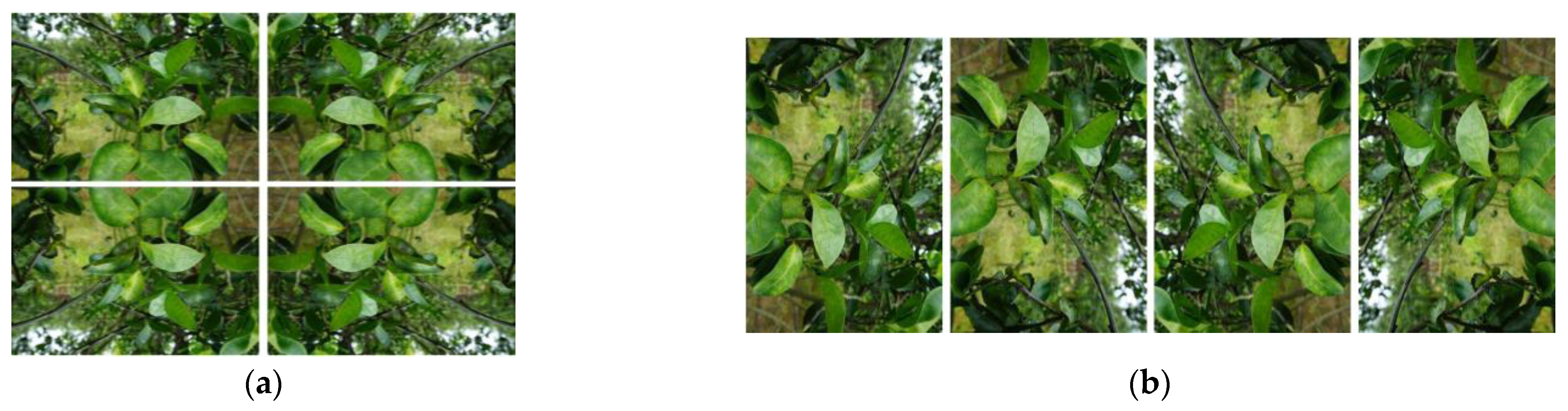 Plants 13 01631 g010