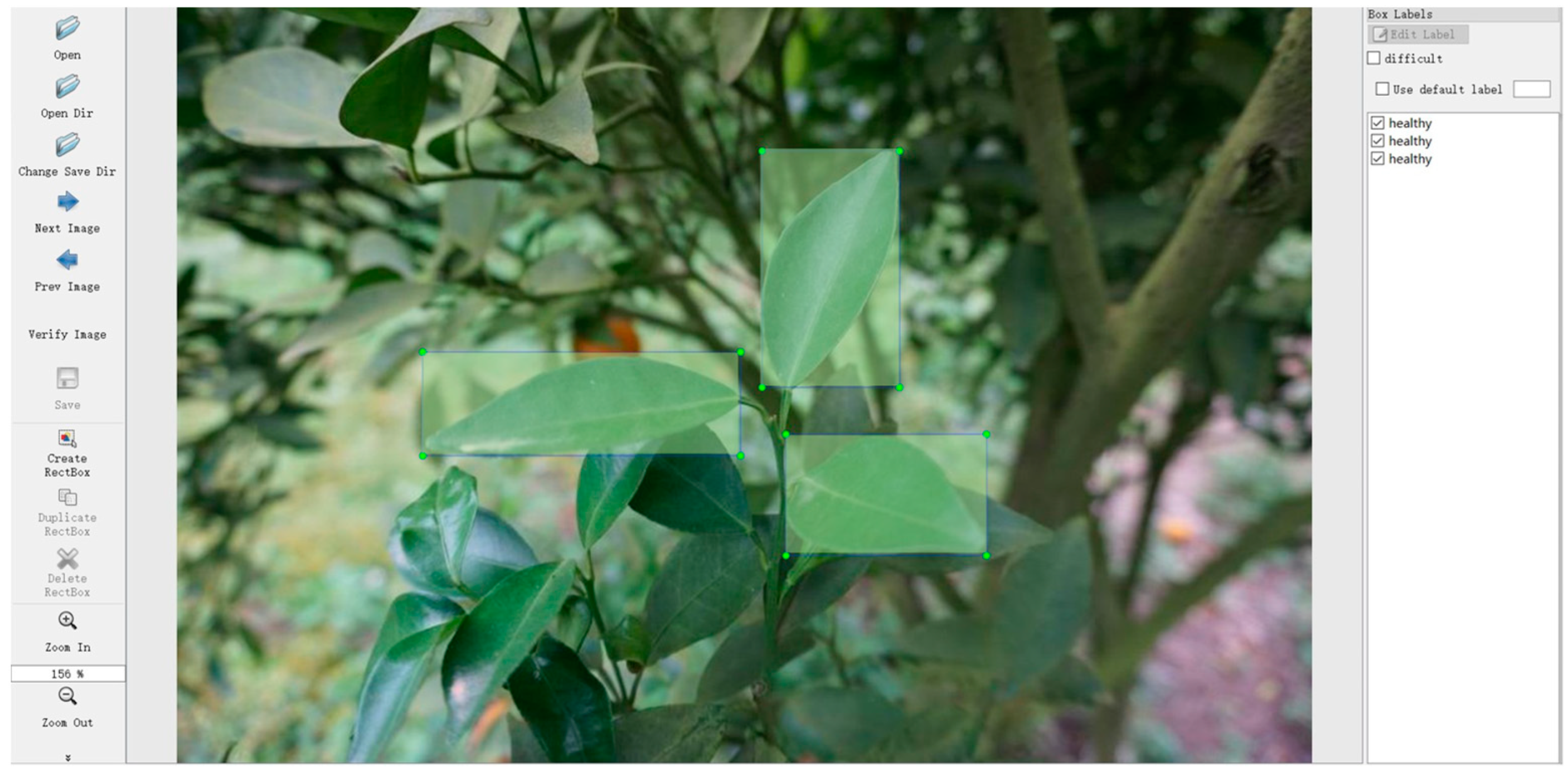 Plants 13 01631 g011