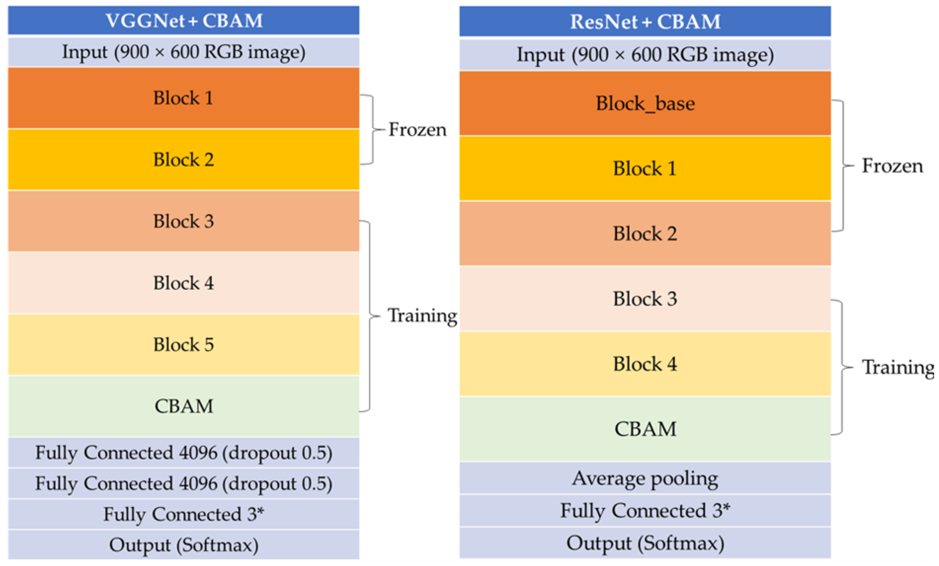 Plants 13 01631 g017