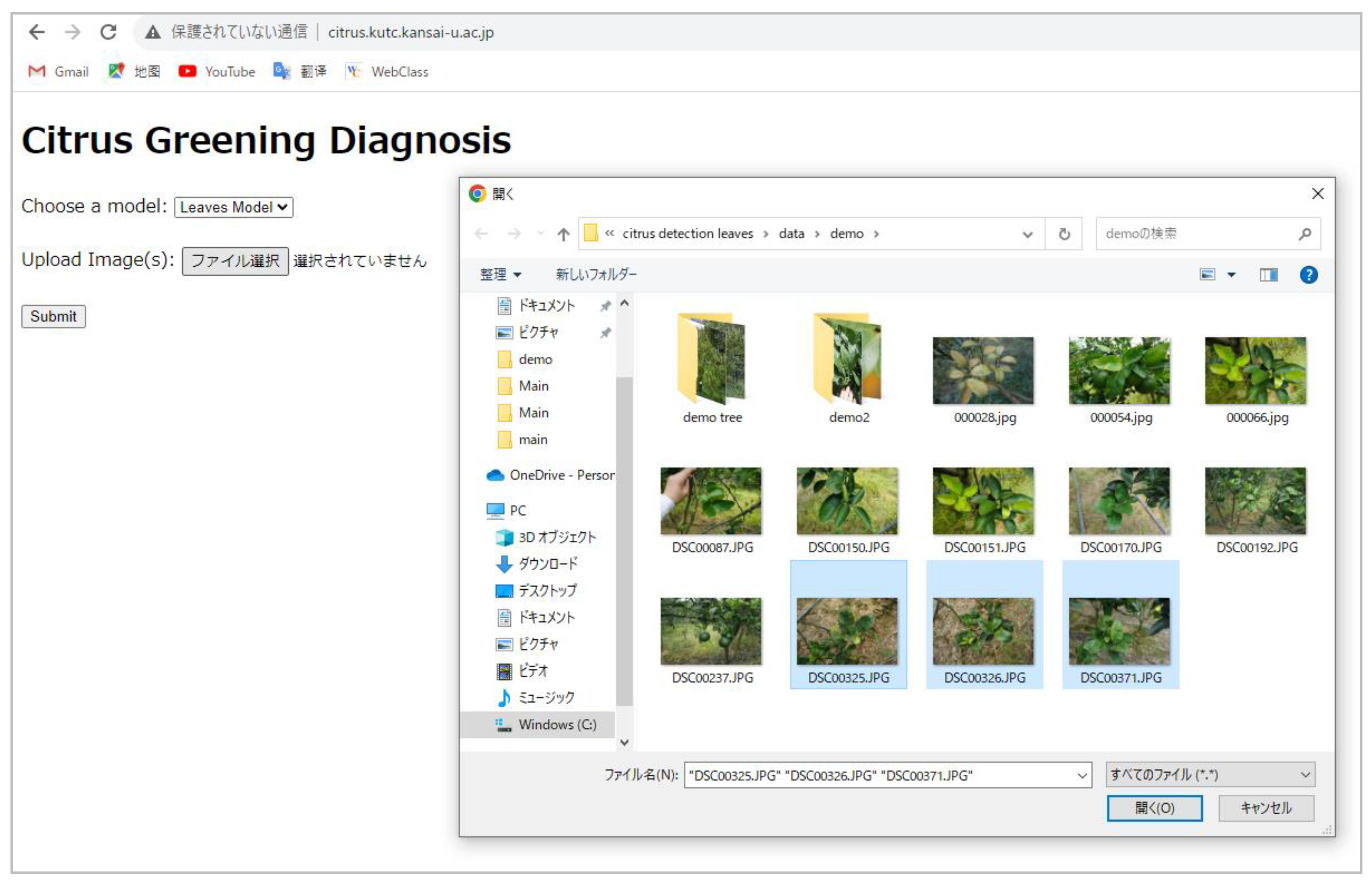 Plants 13 01631 g019