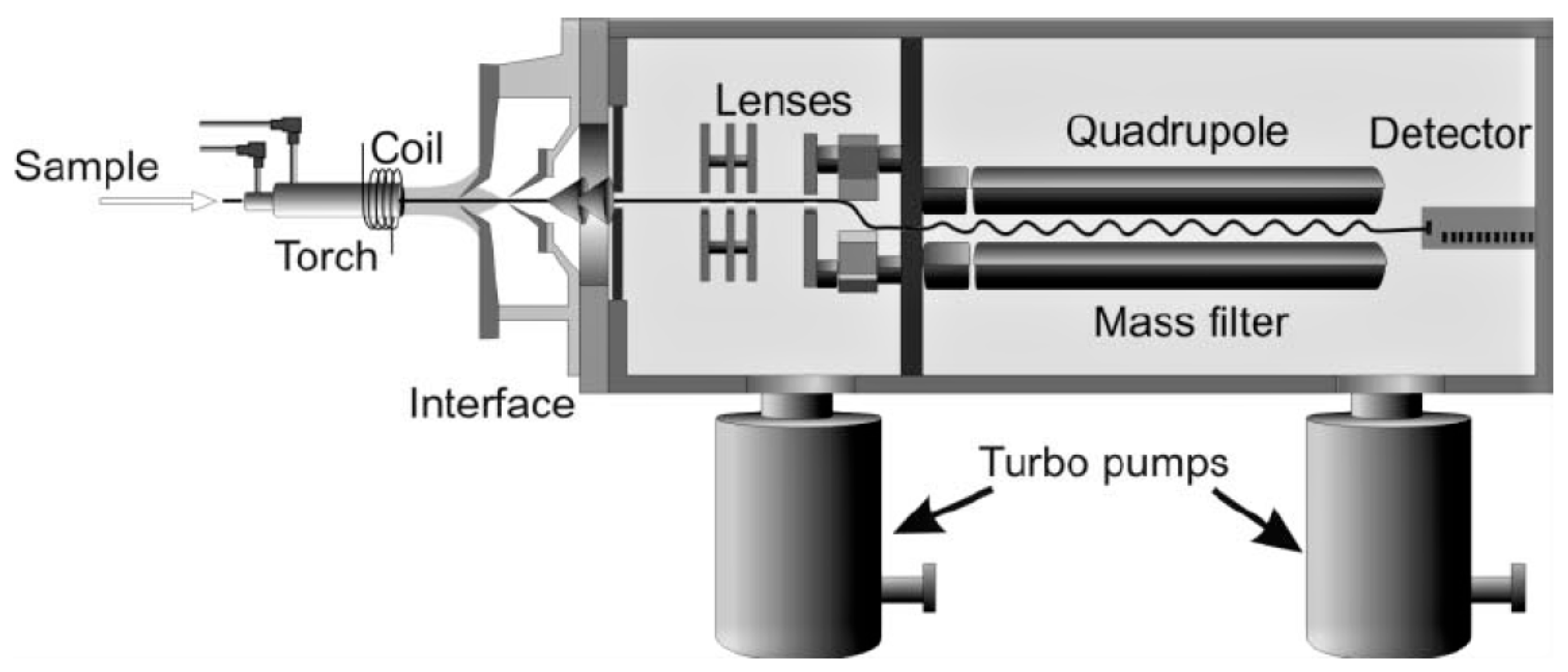 Plants 13 01633 g007