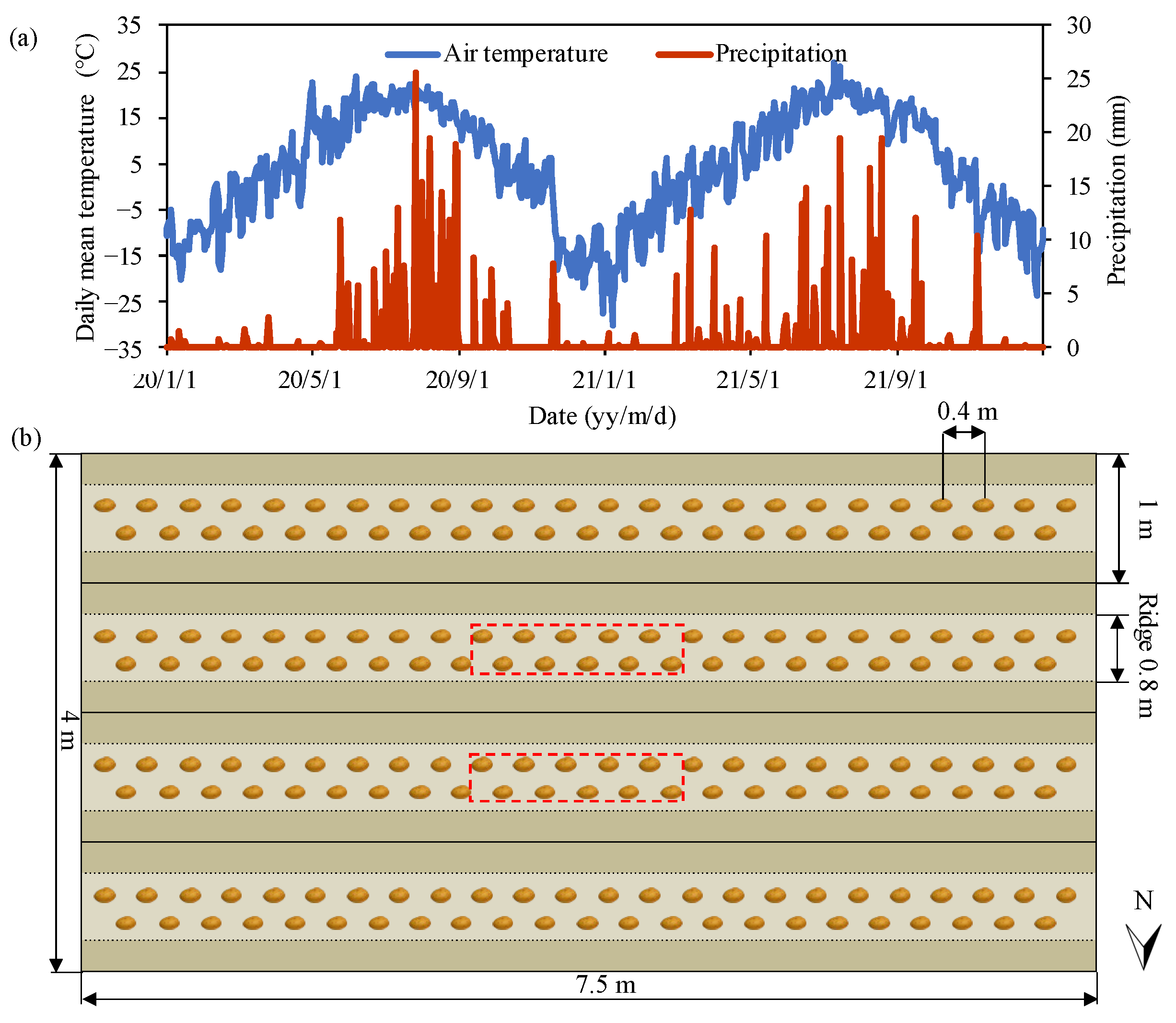 Plants 13 01636 g008