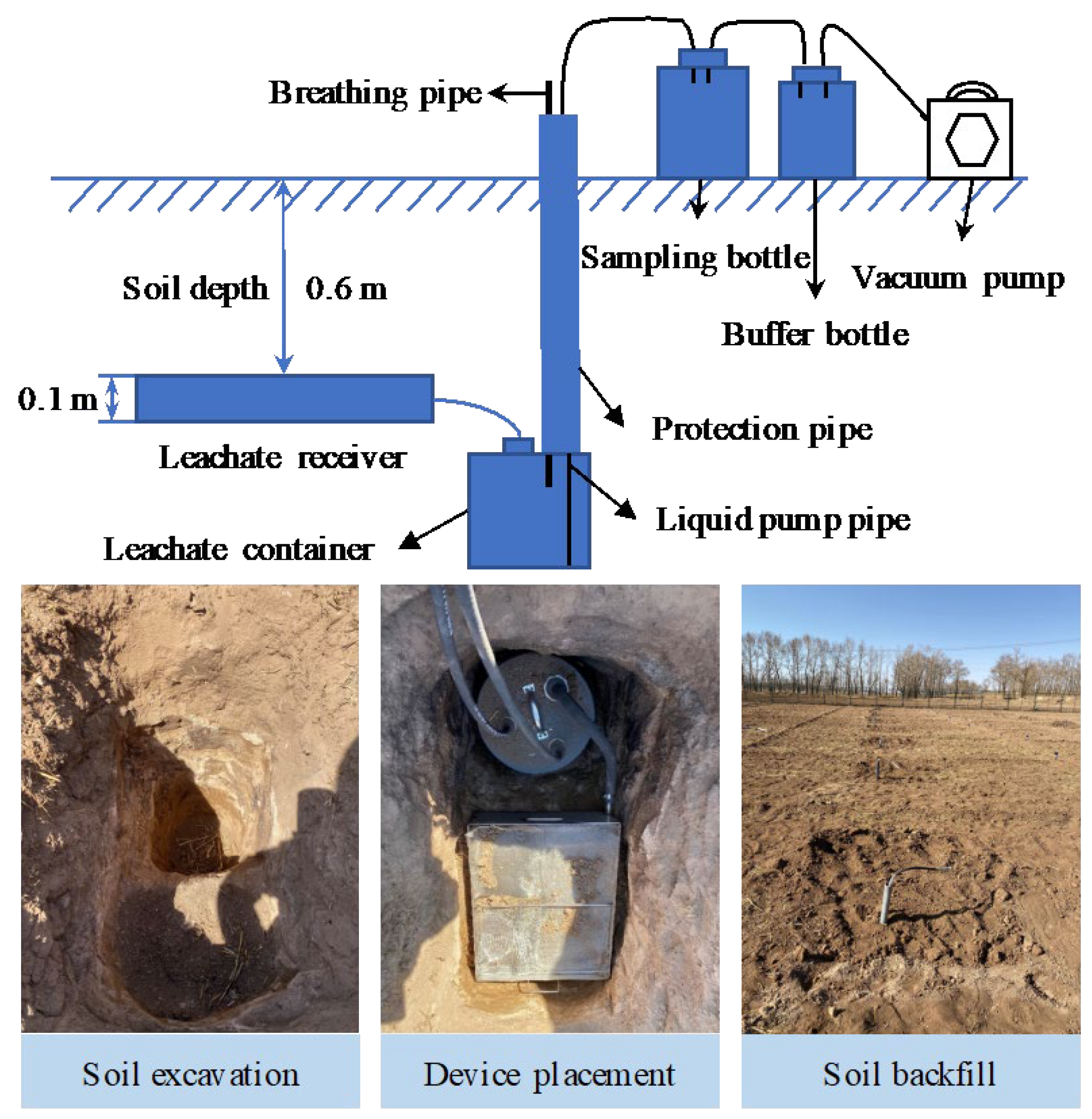 Plants 13 01636 g009