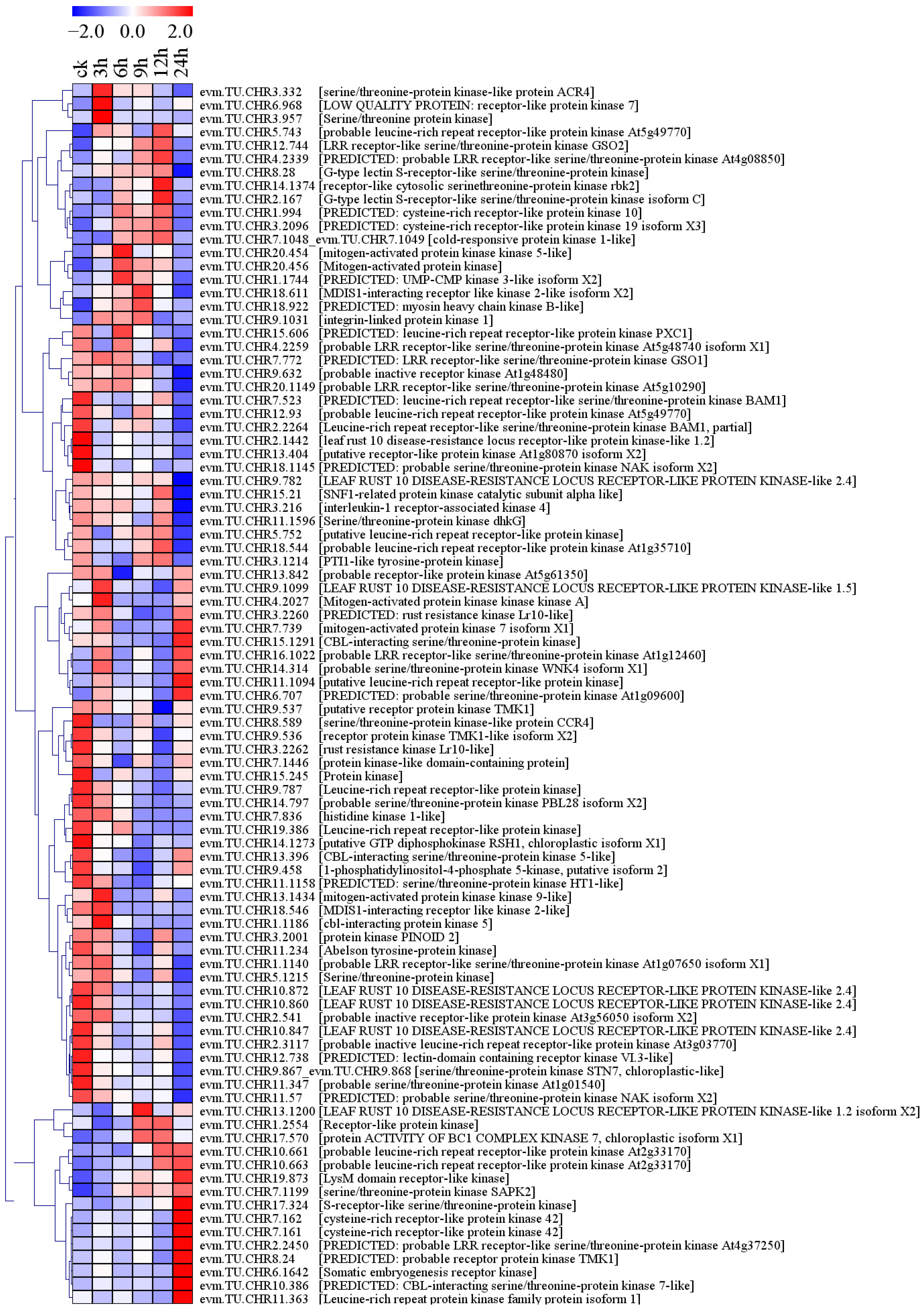 Plants 13 01638 g005