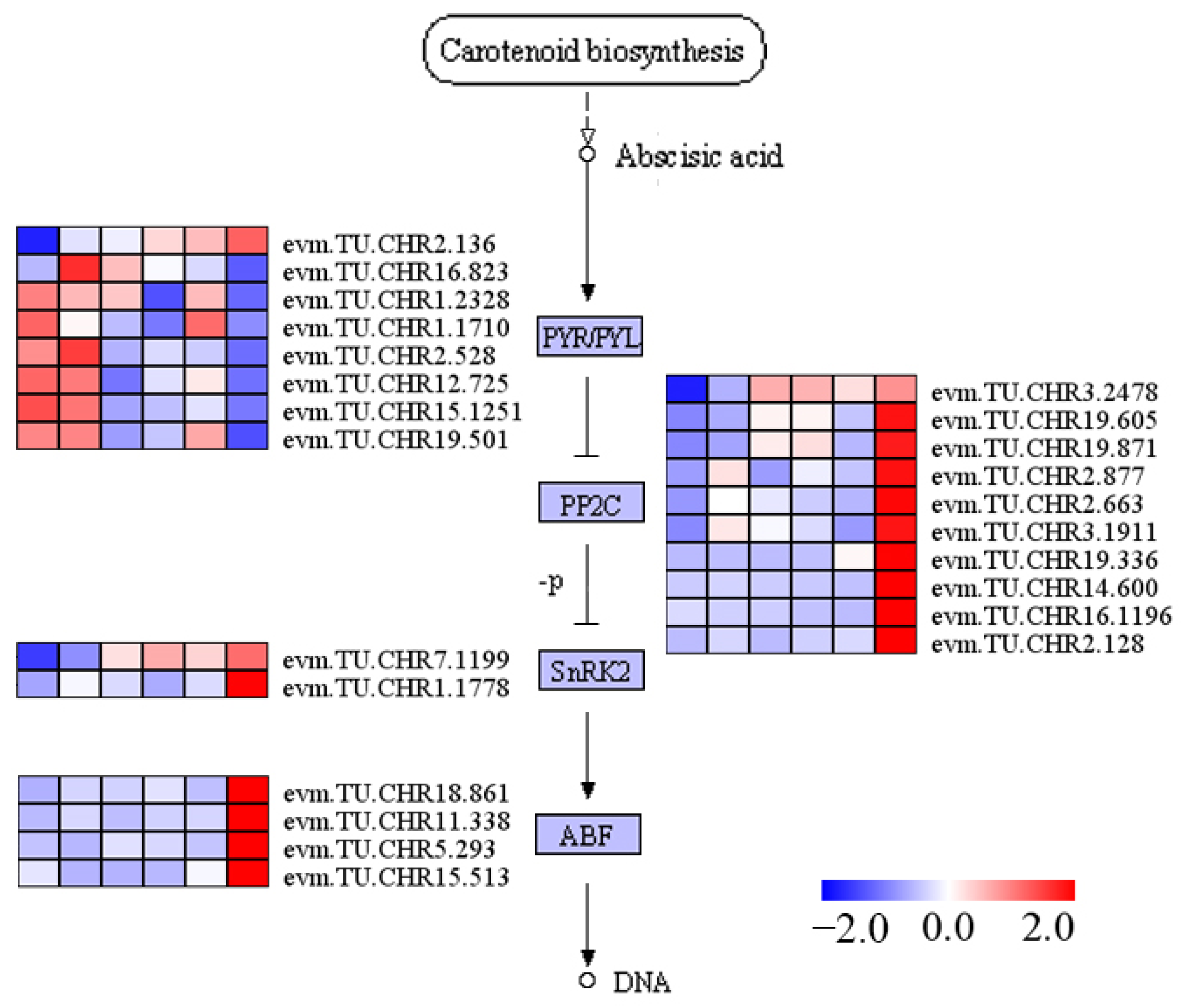 Plants 13 01638 g006