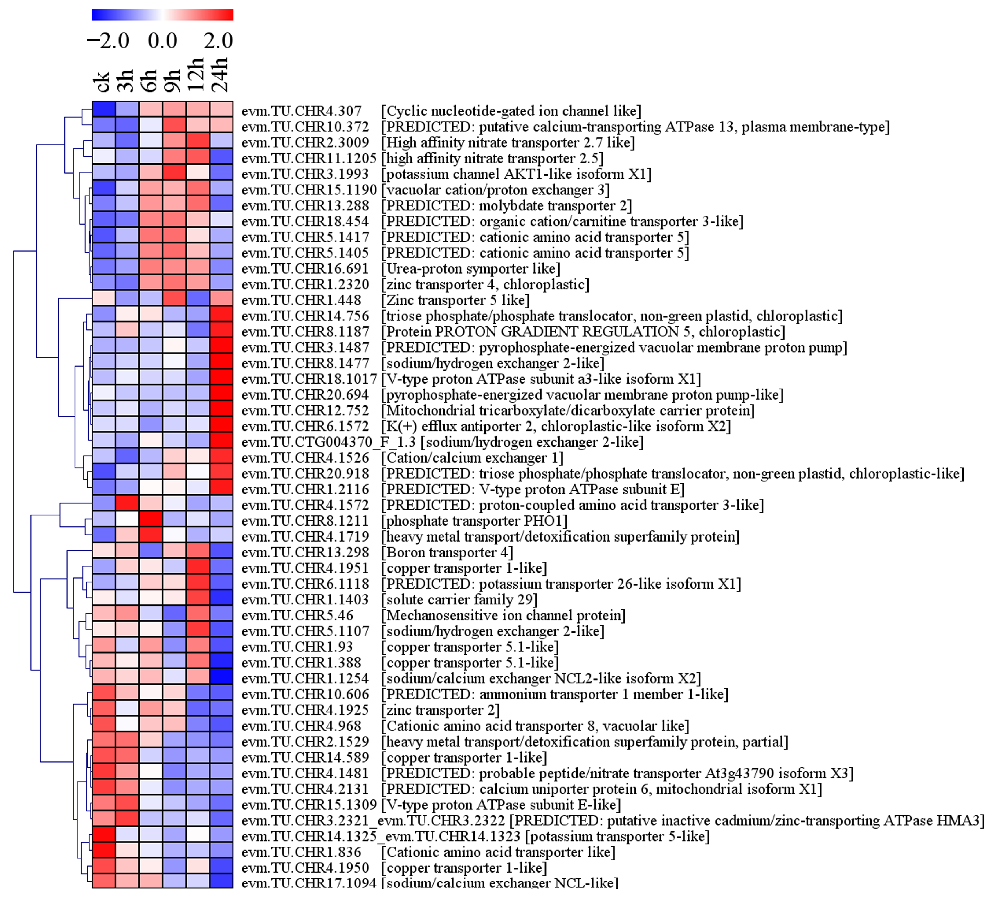 Plants 13 01638 g009