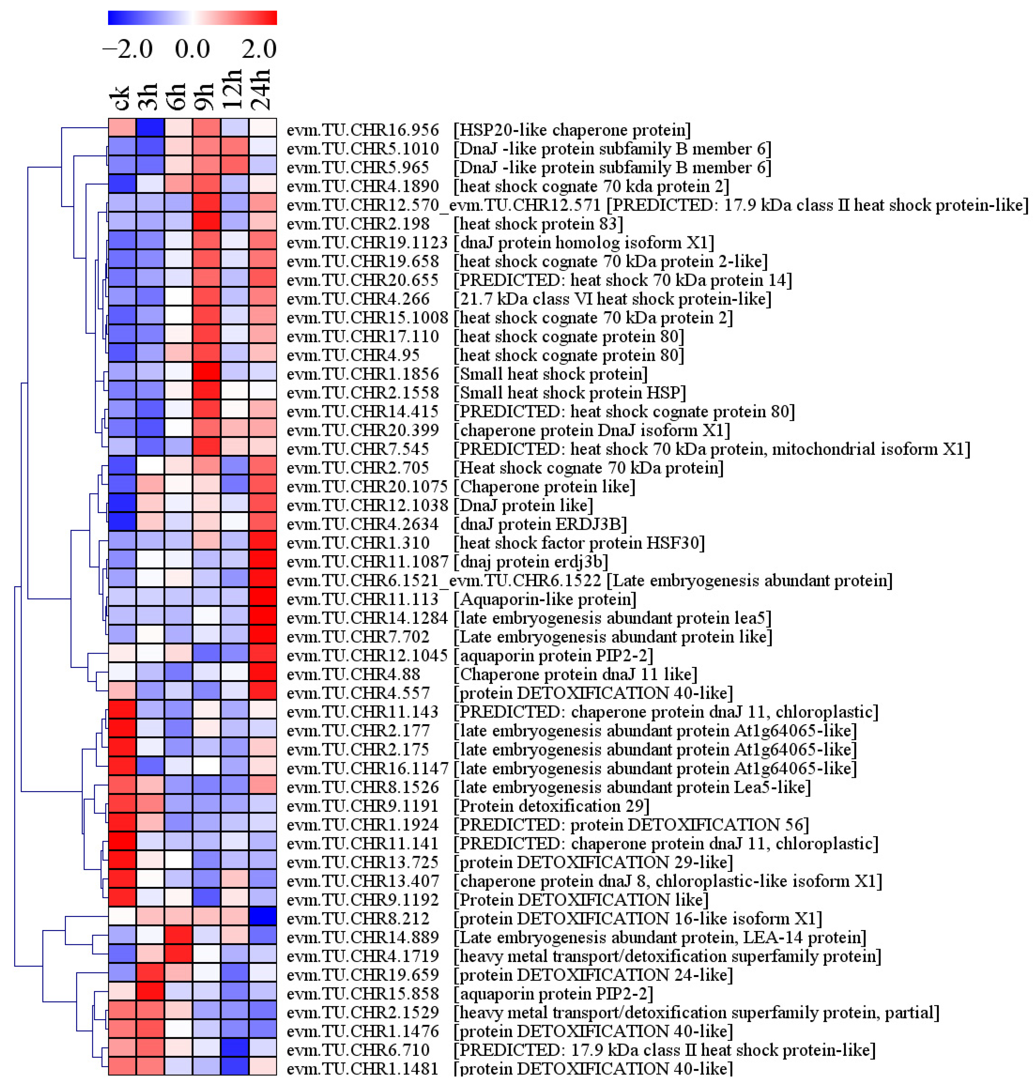 Plants 13 01638 g011