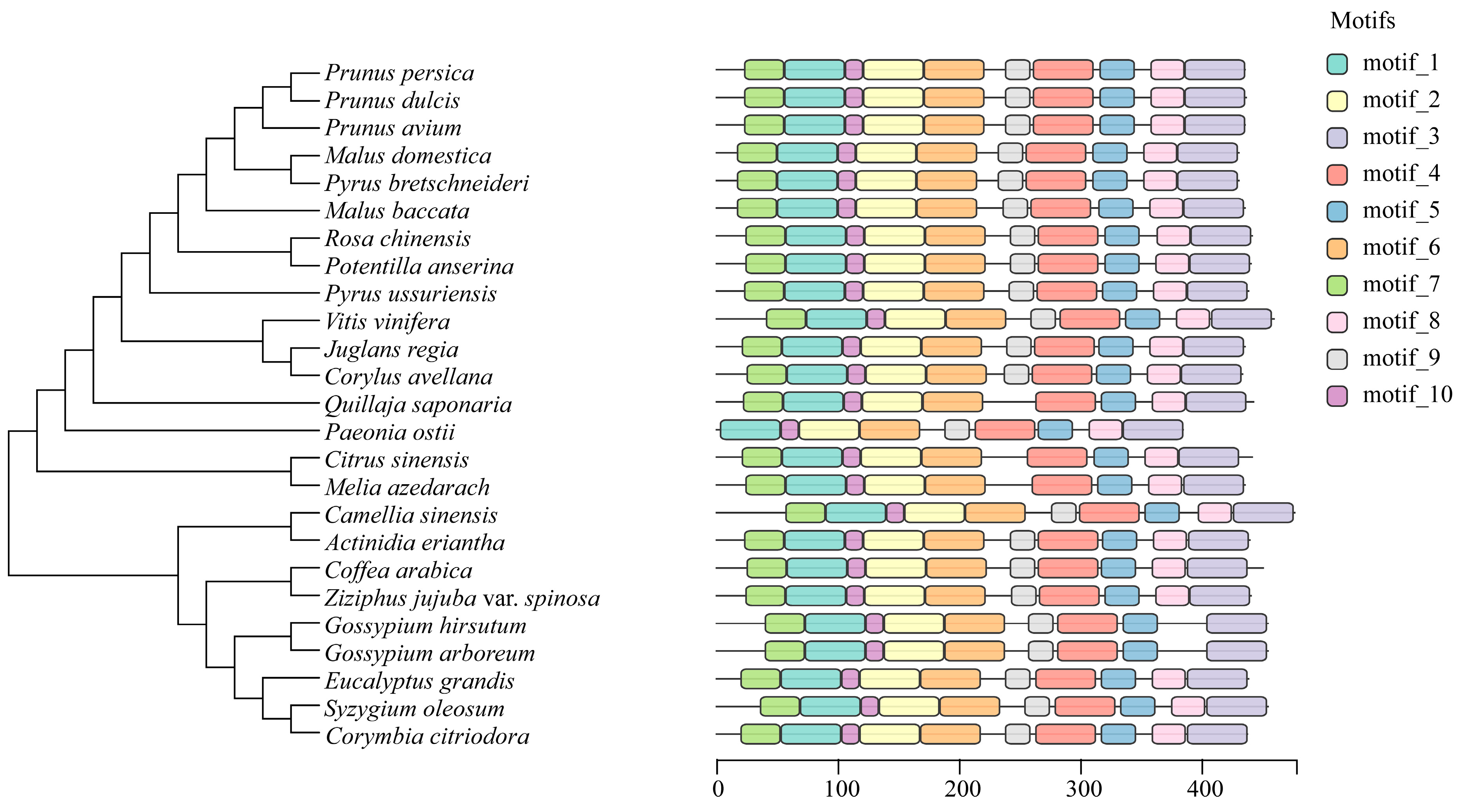 Plants 13 01642 g004