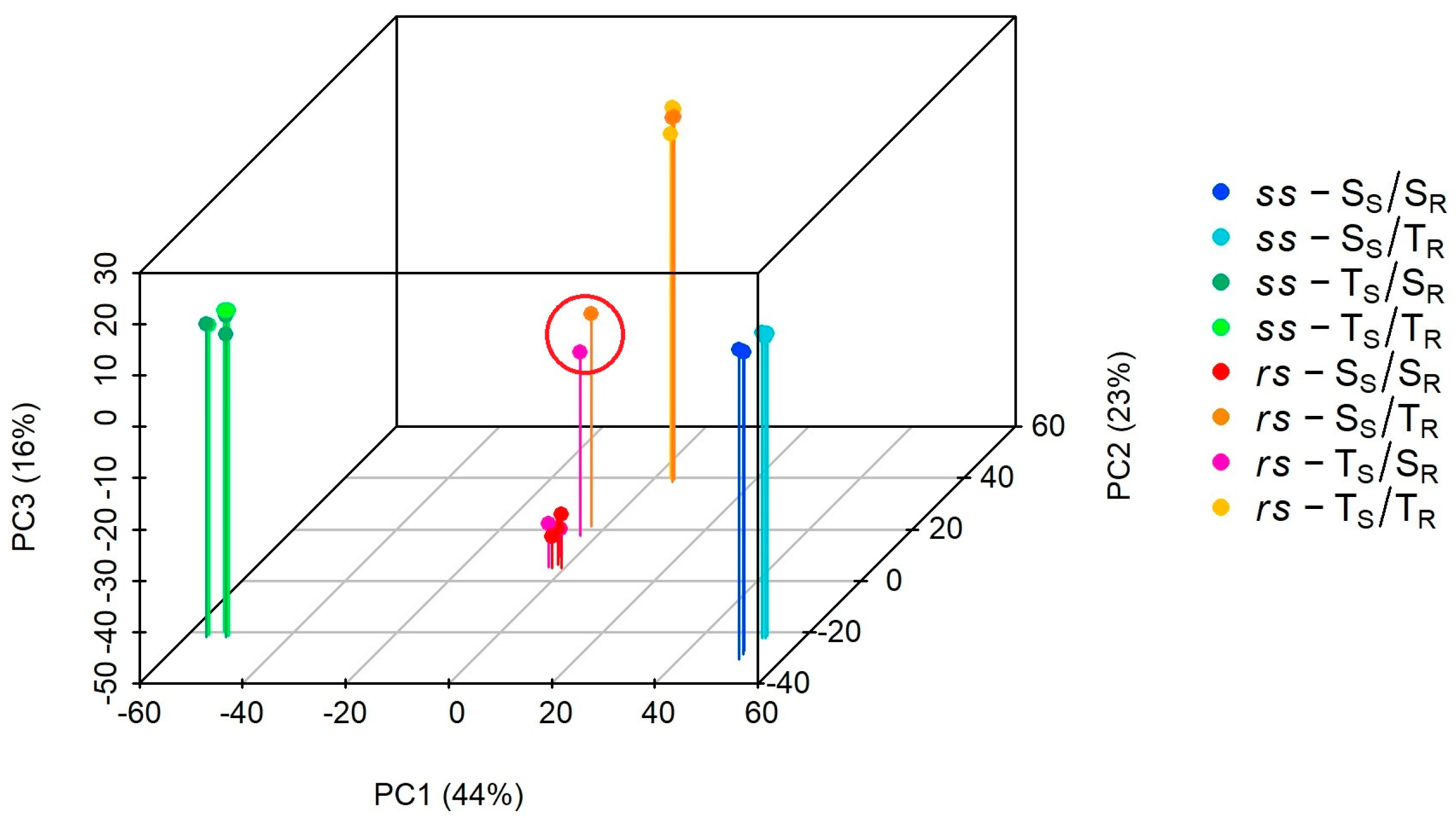 Plants 13 01644 g001