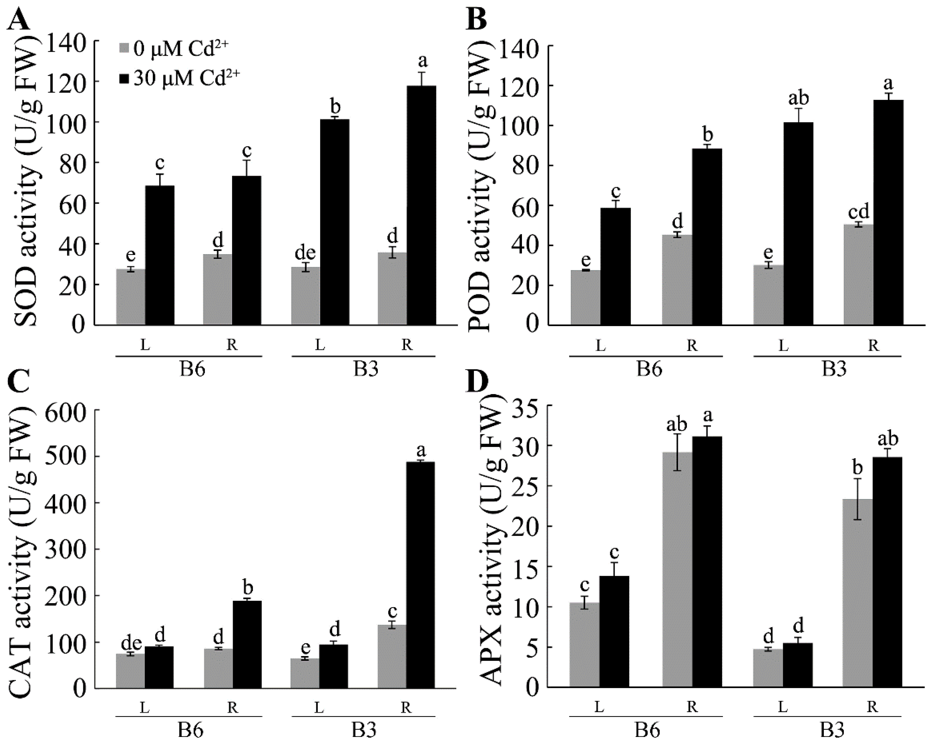 Plants 13 01650 g009