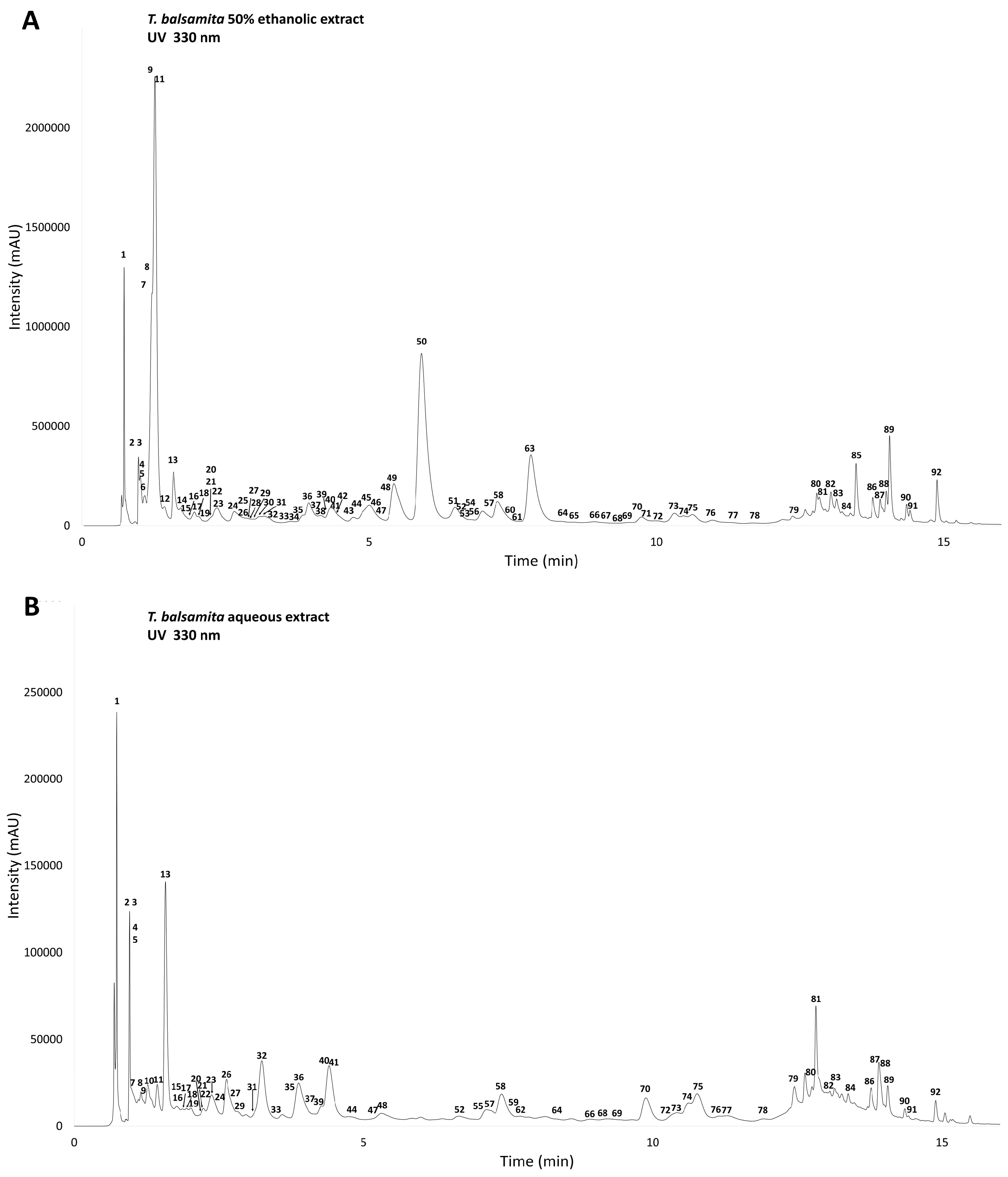 Plants 13 01652 g002
