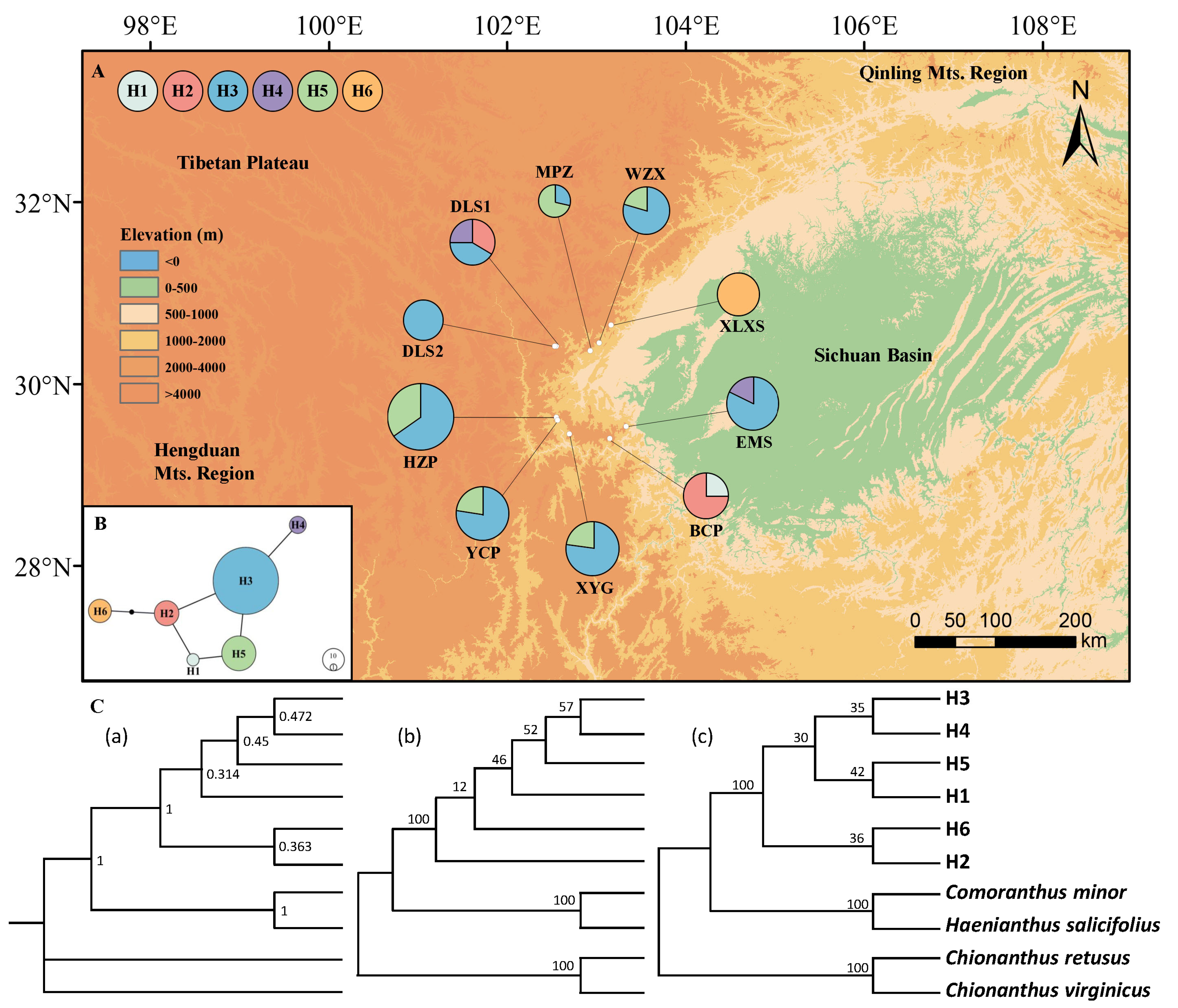 洋書 PopulationGames and Evolutionarydynamics Phylogeographic Structure and Population Dynamics of Baoxing
