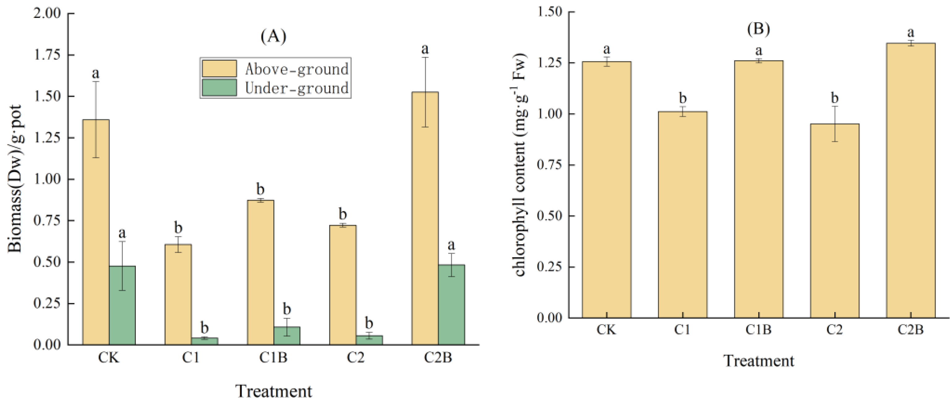 Plants 13 01657 g001
