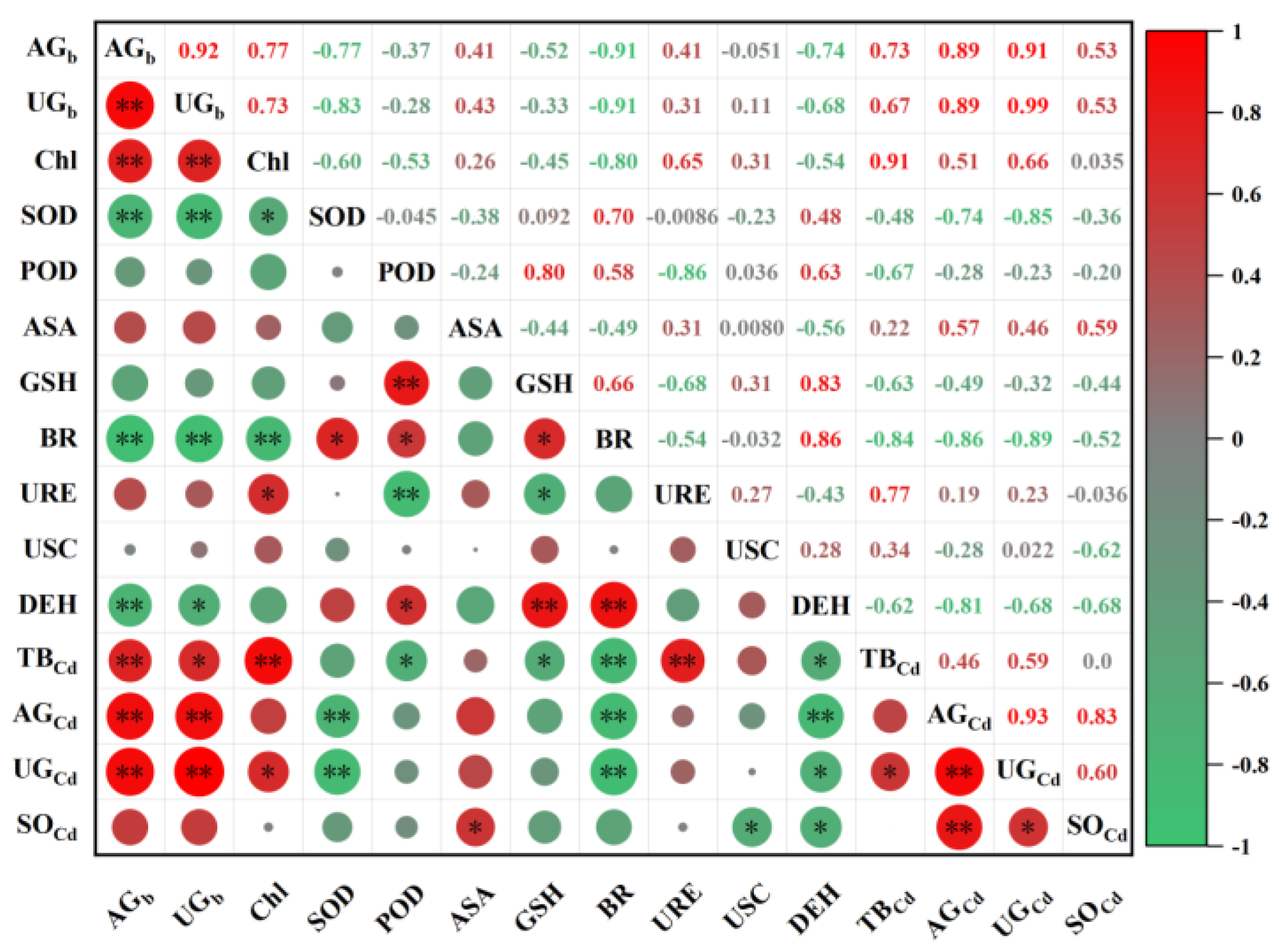 Plants 13 01657 g006