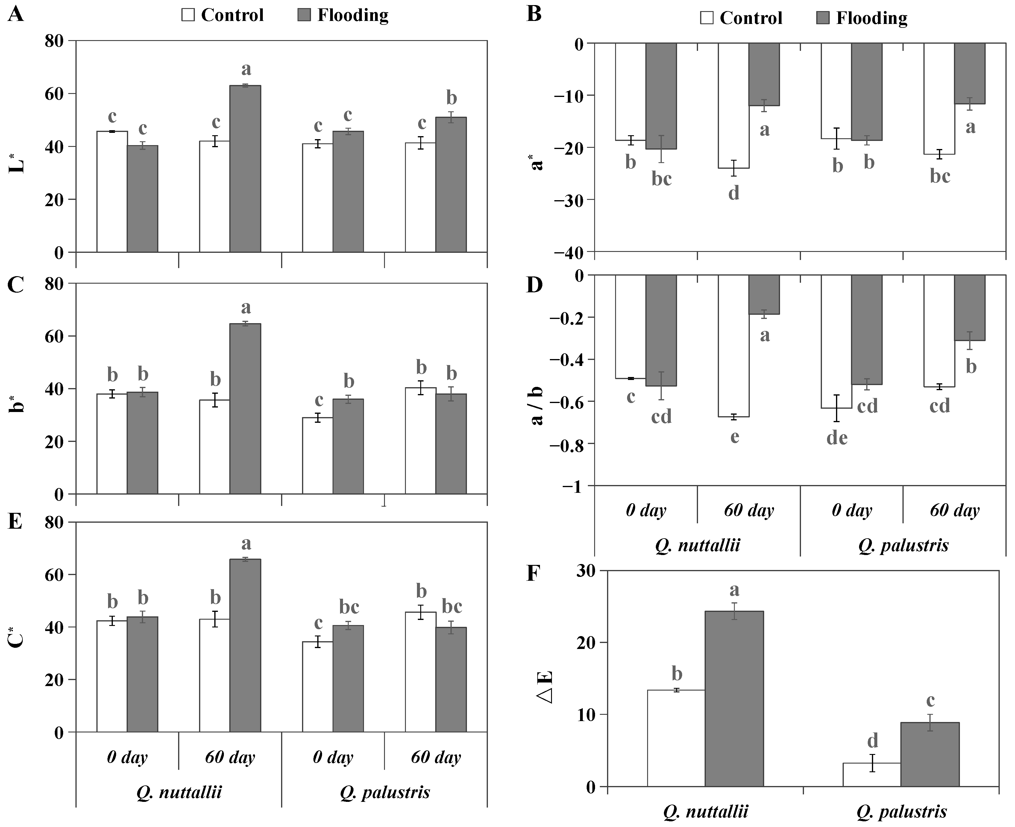 Plants 13 01658 g002