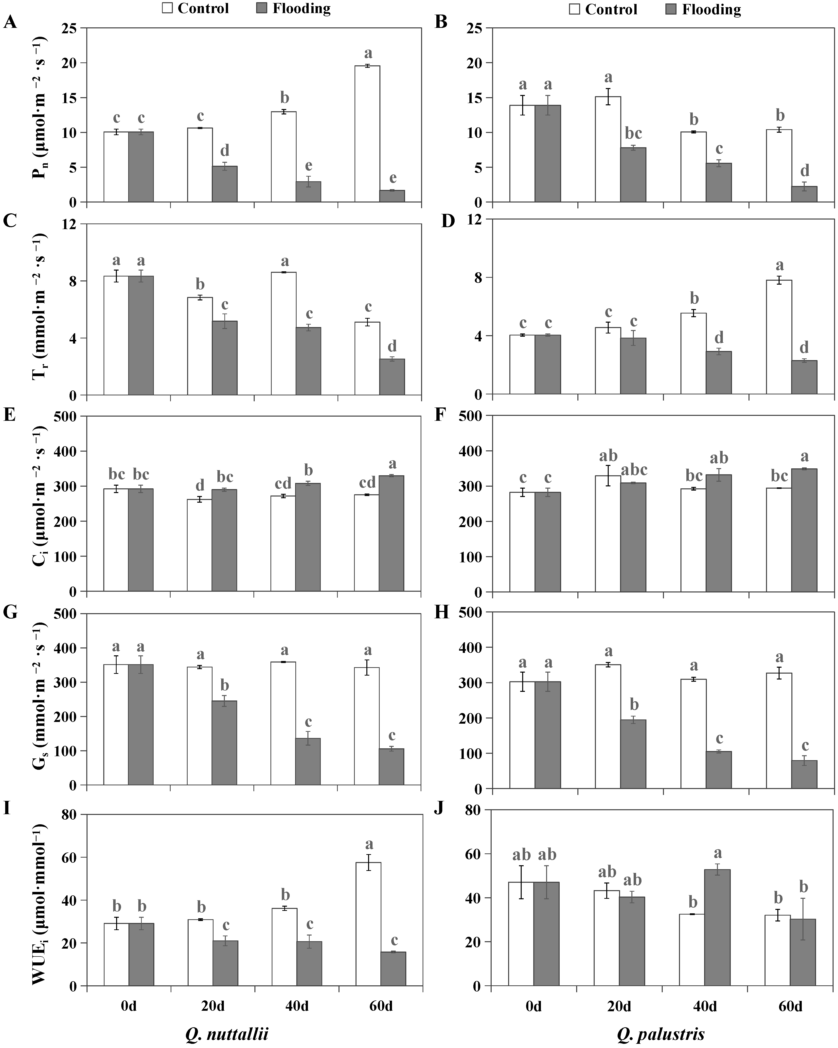 Plants 13 01658 g003