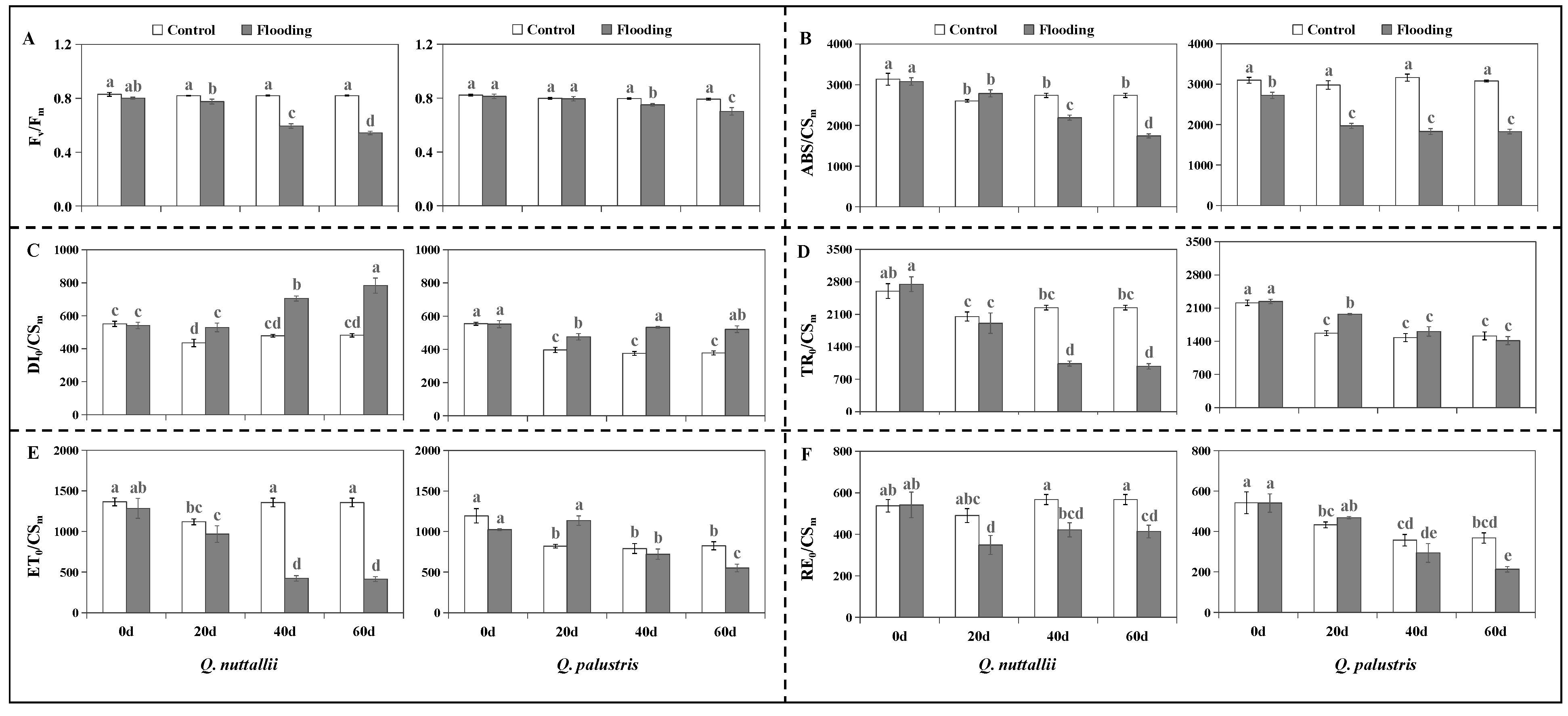 Plants 13 01658 g004