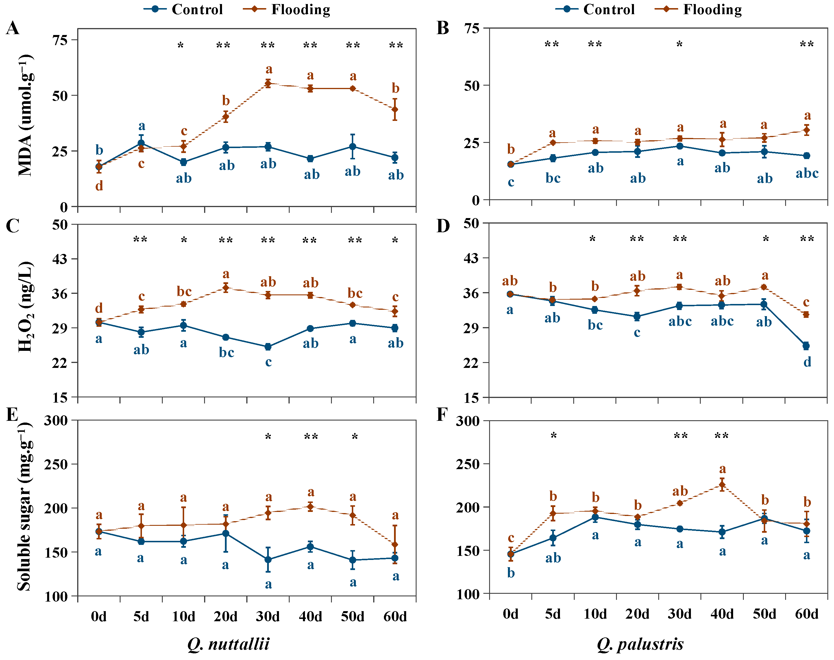 Plants 13 01658 g005