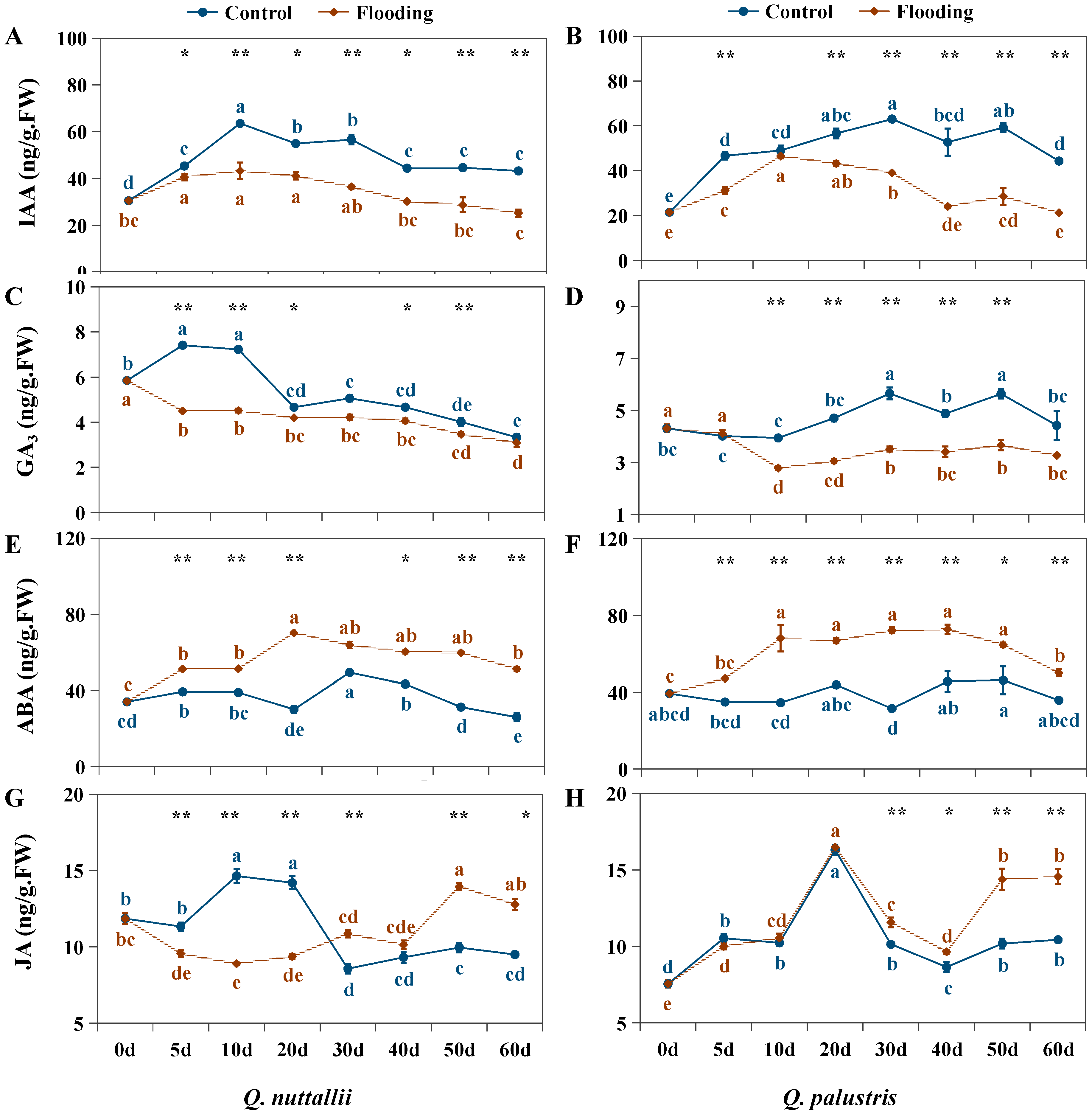 Plants 13 01658 g007