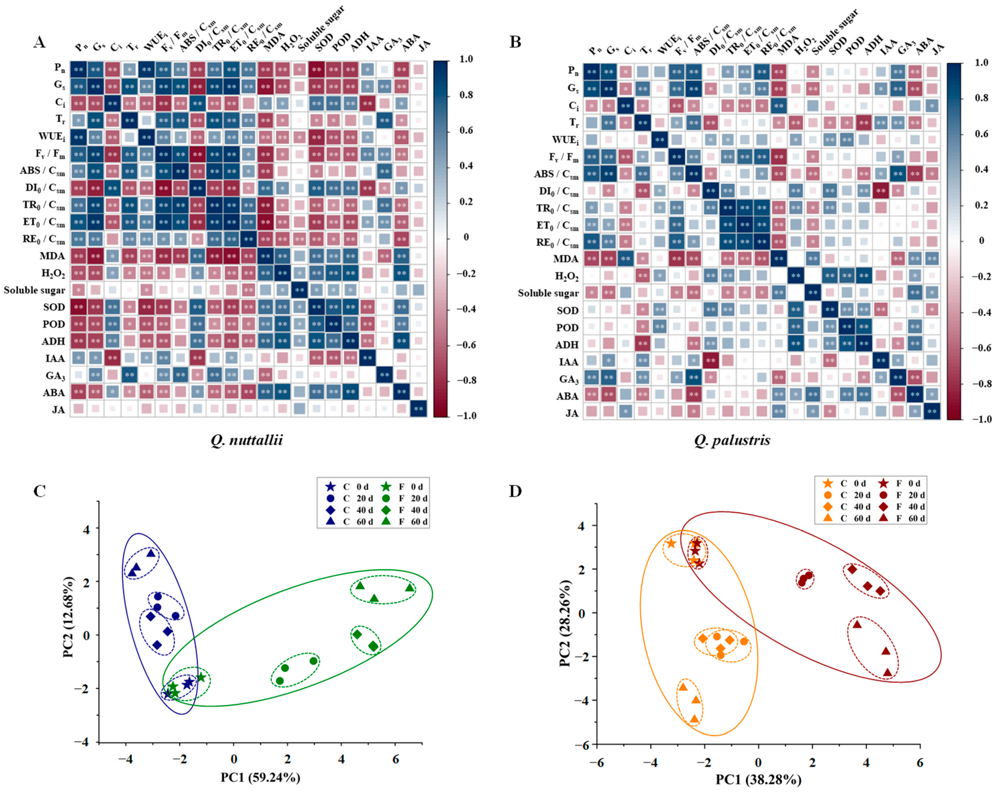 Plants 13 01658 g008