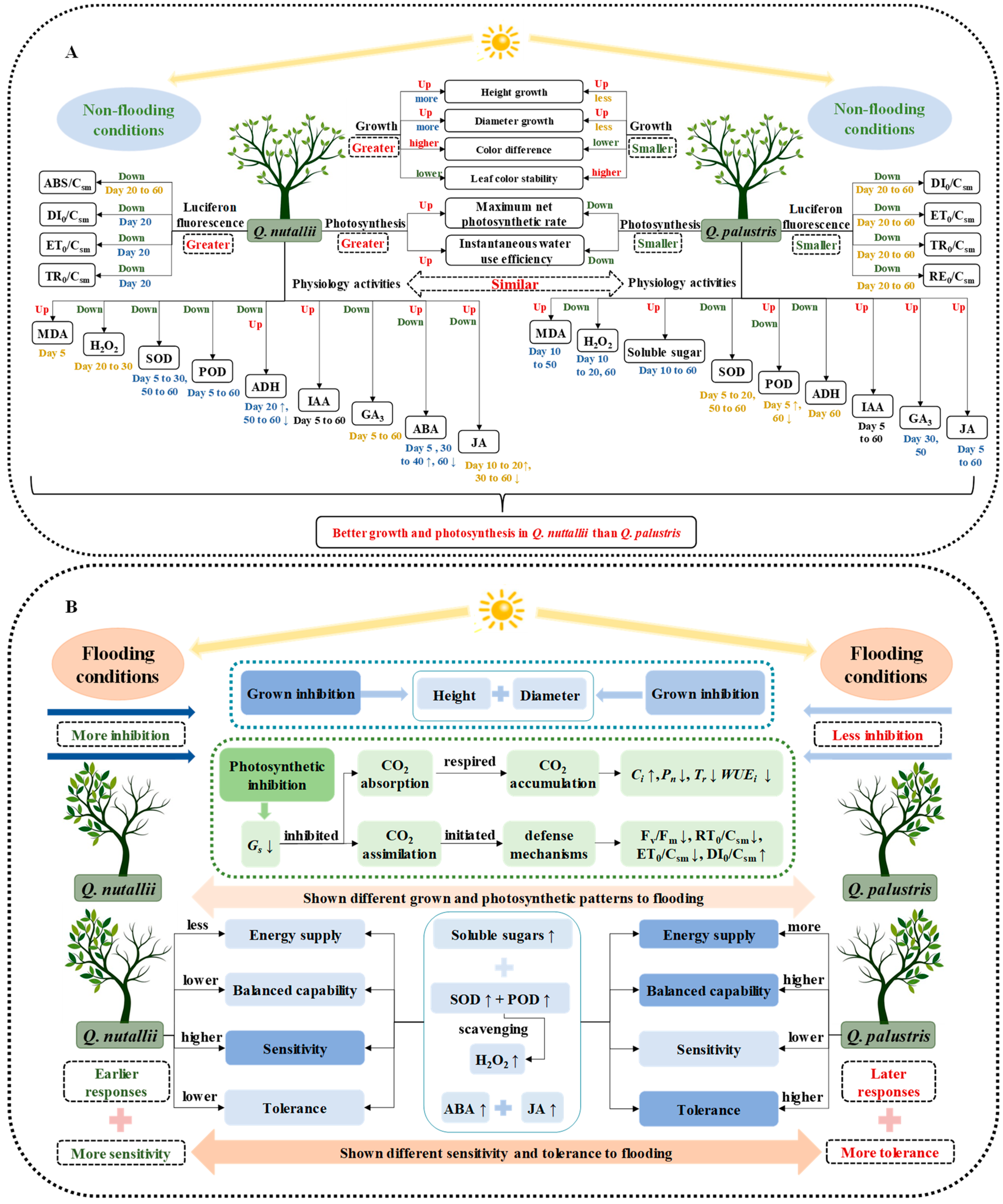 Plants 13 01658 g009