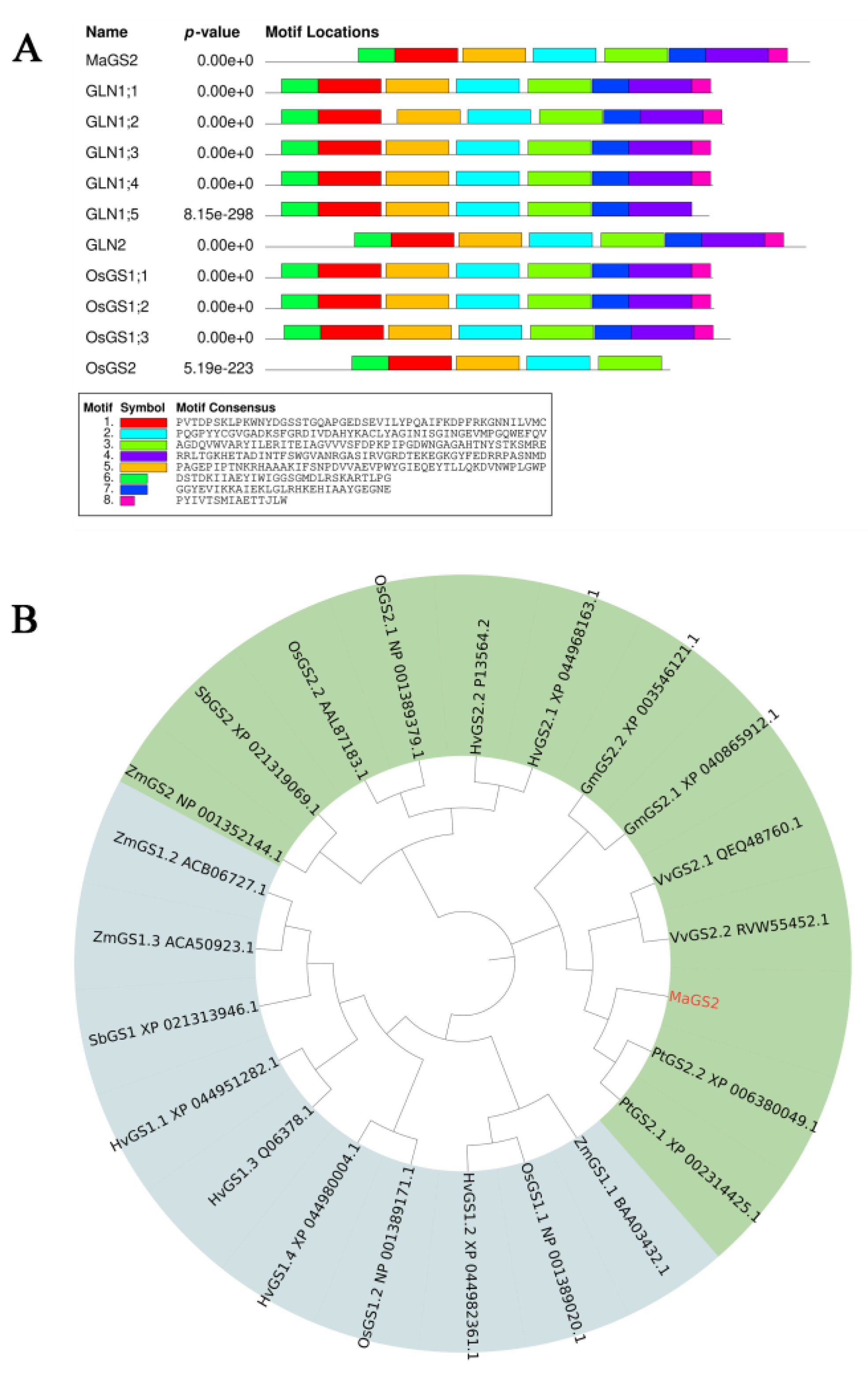Plants 13 01660 g001