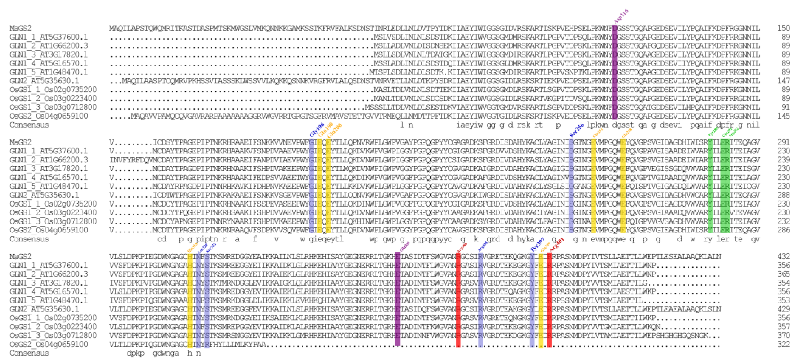 Plants 13 01660 g002