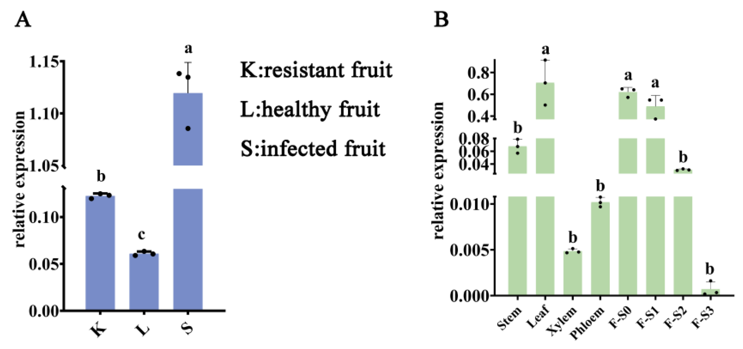 Plants 13 01660 g004