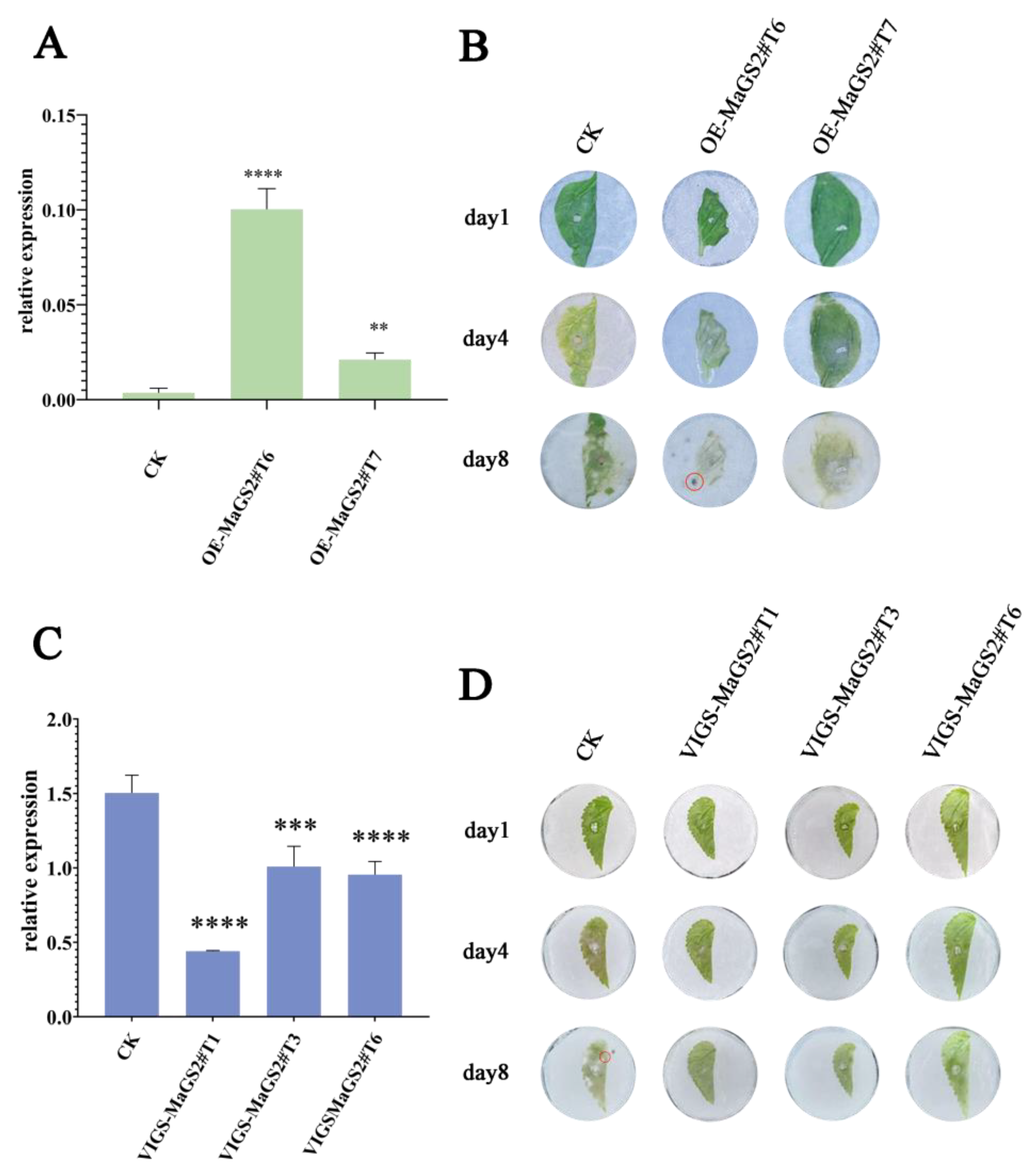 Plants 13 01660 g005