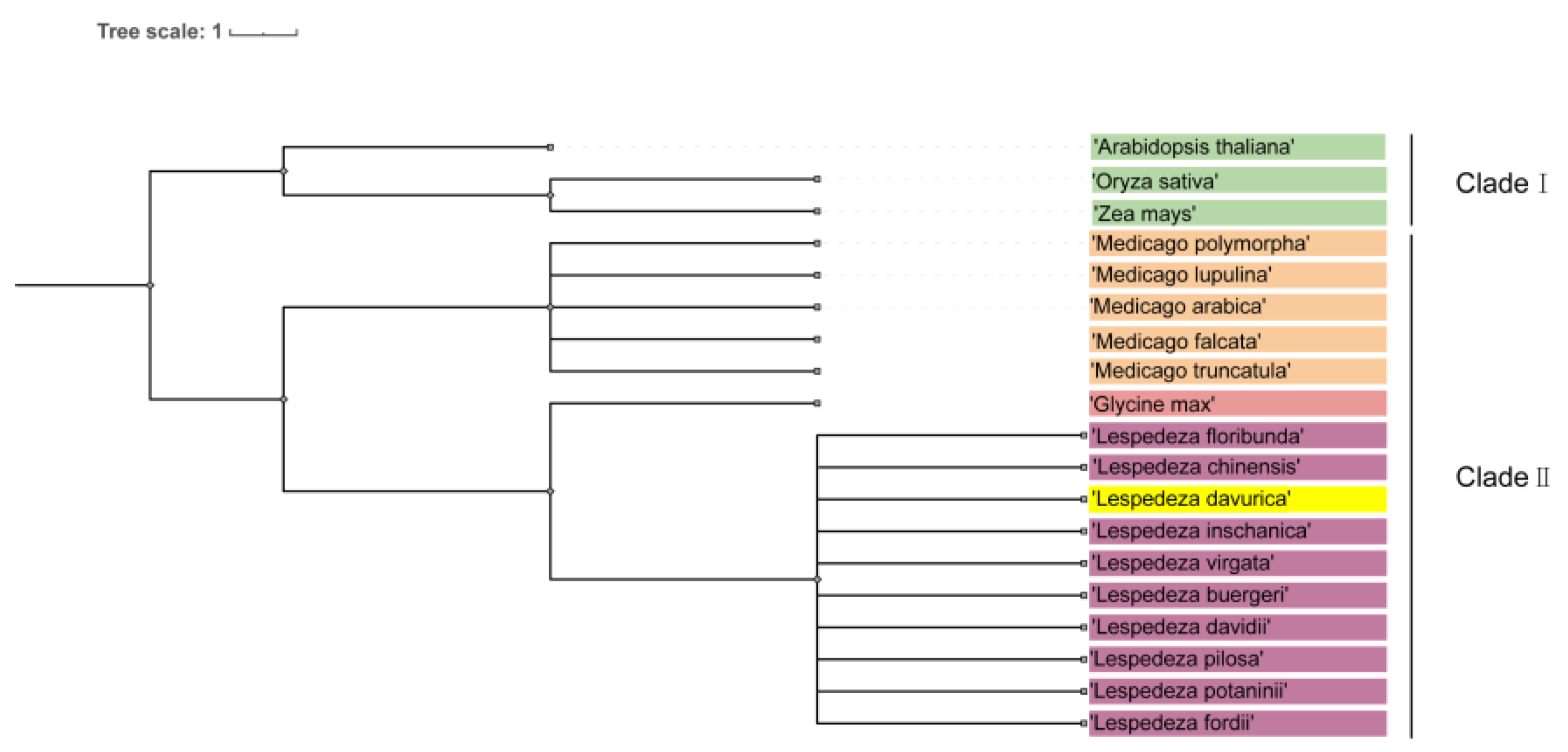 Plants 13 01661 g010