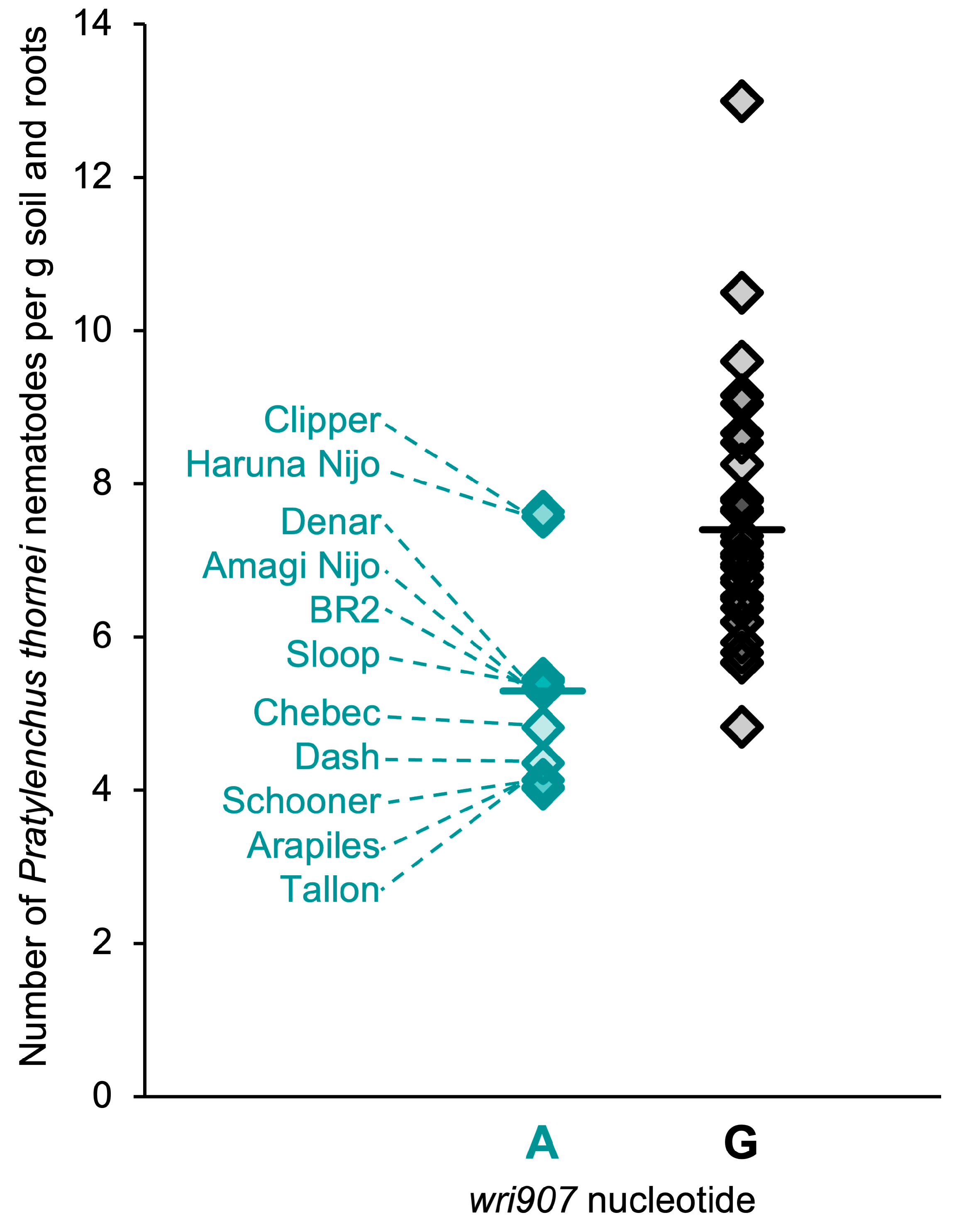 Plants 13 01663 g005 Plants 13 01663 g005