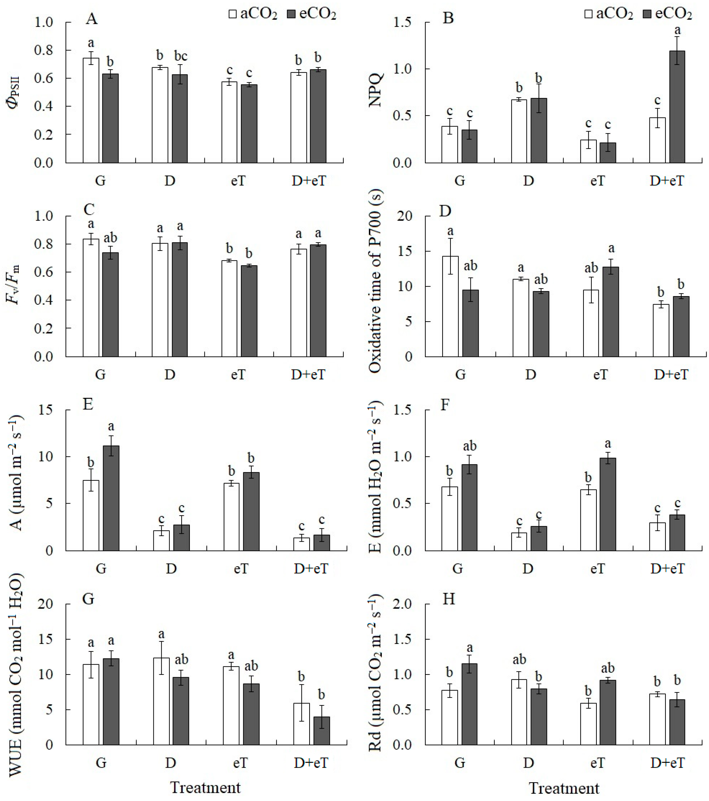 Plants 13 01666 g002