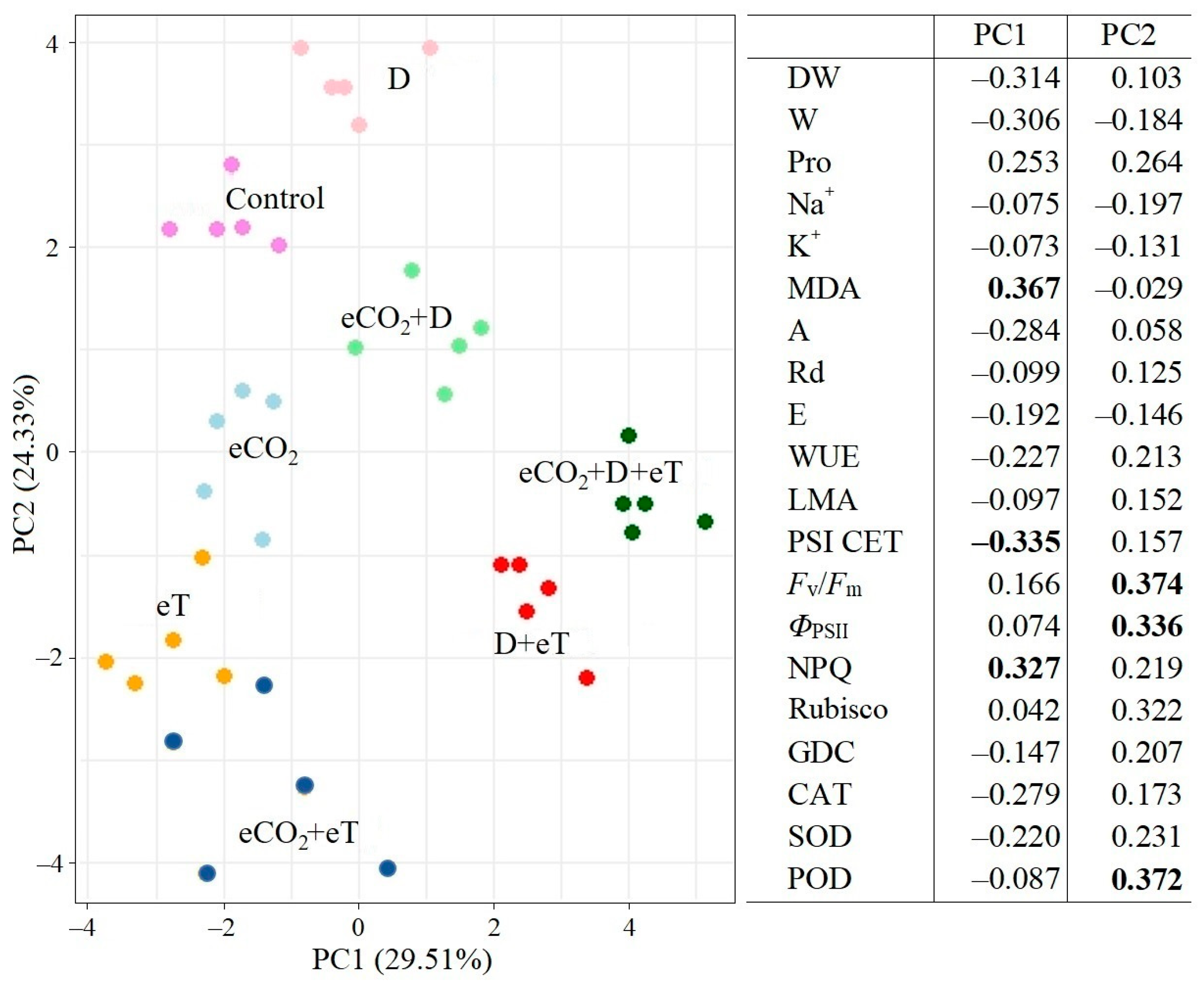 Plants 13 01666 g006