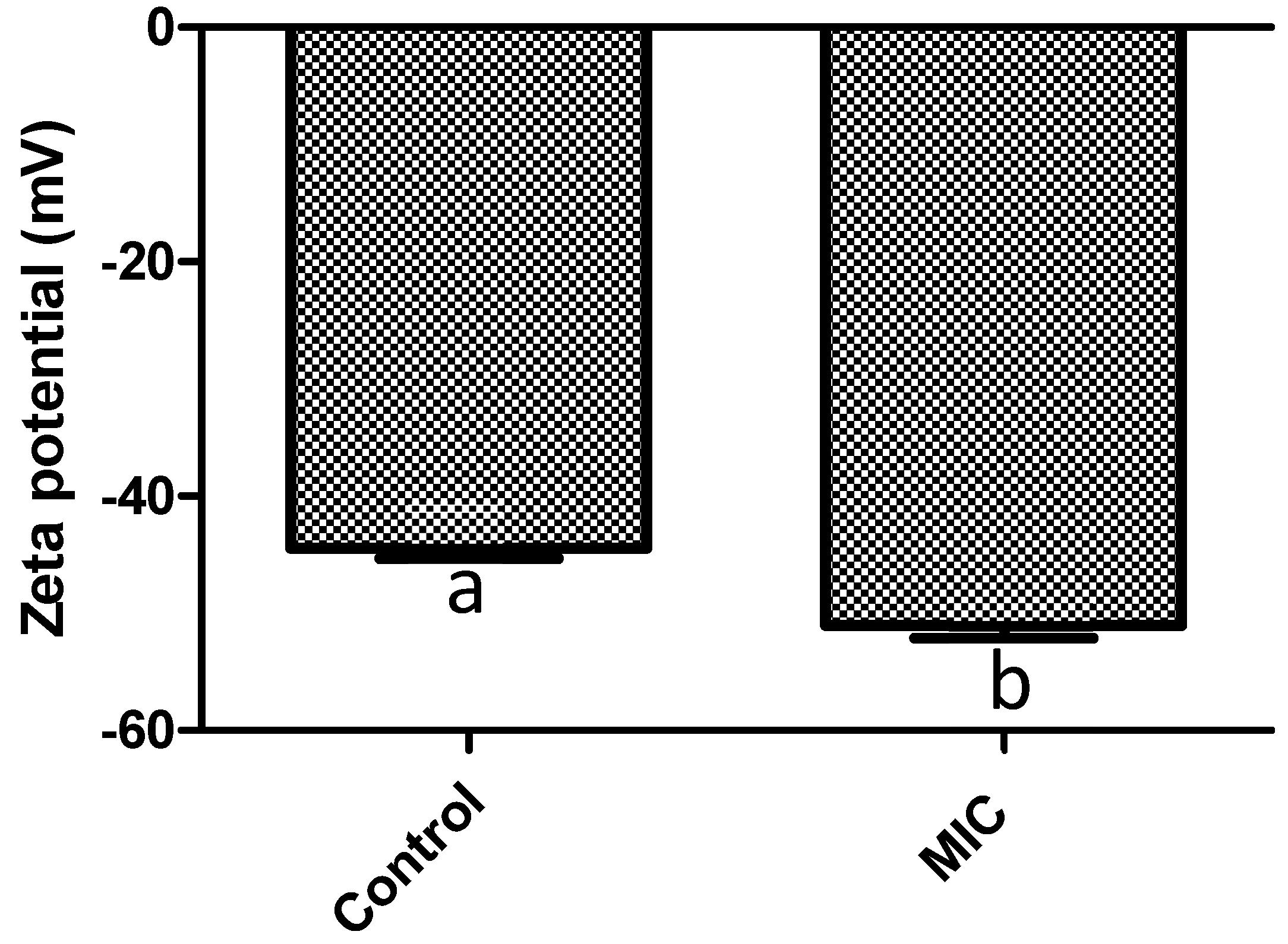 Plants 13 01671 g001