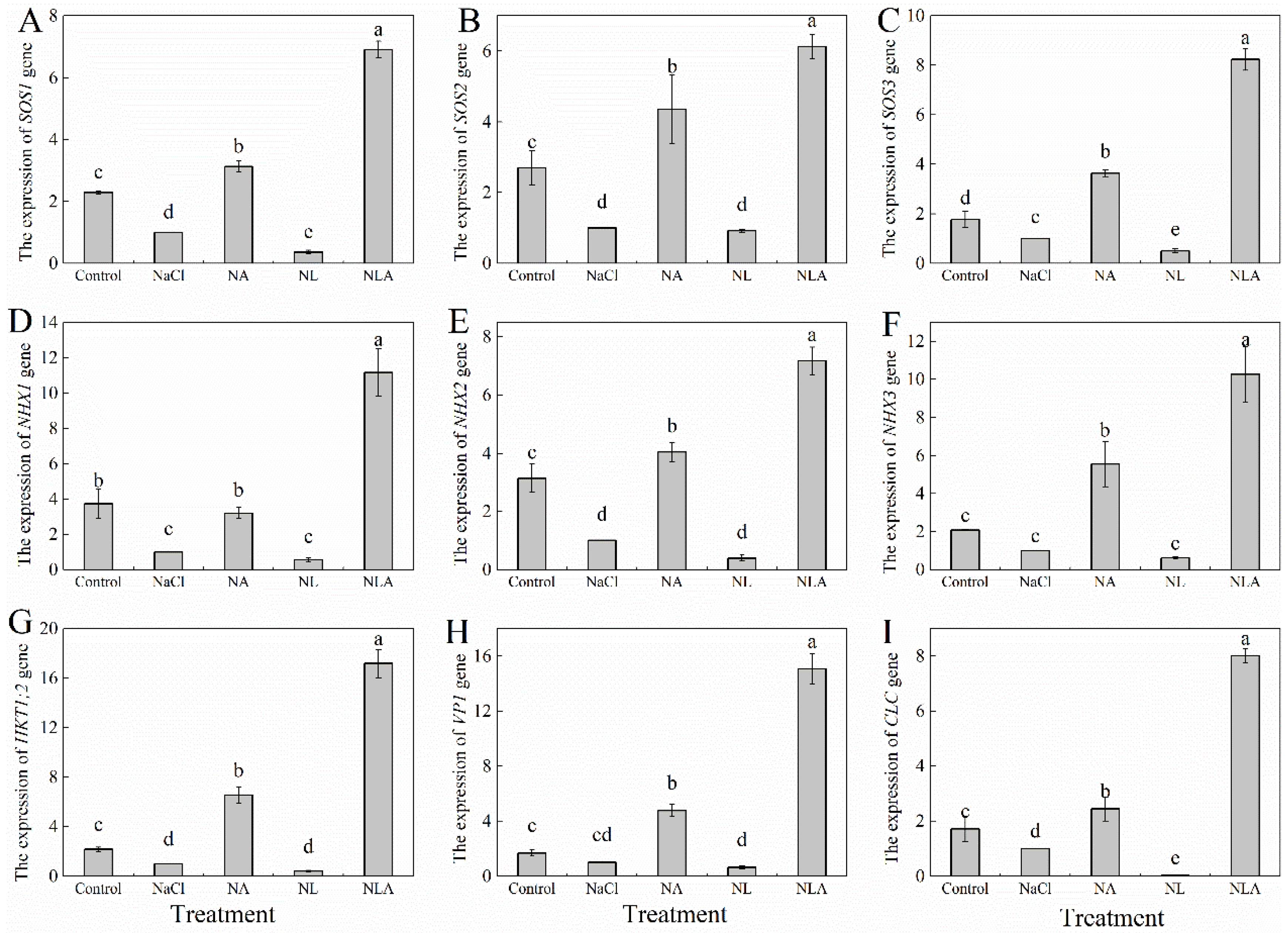 Plants 13 01672 g006 Plants 13 01672 g006